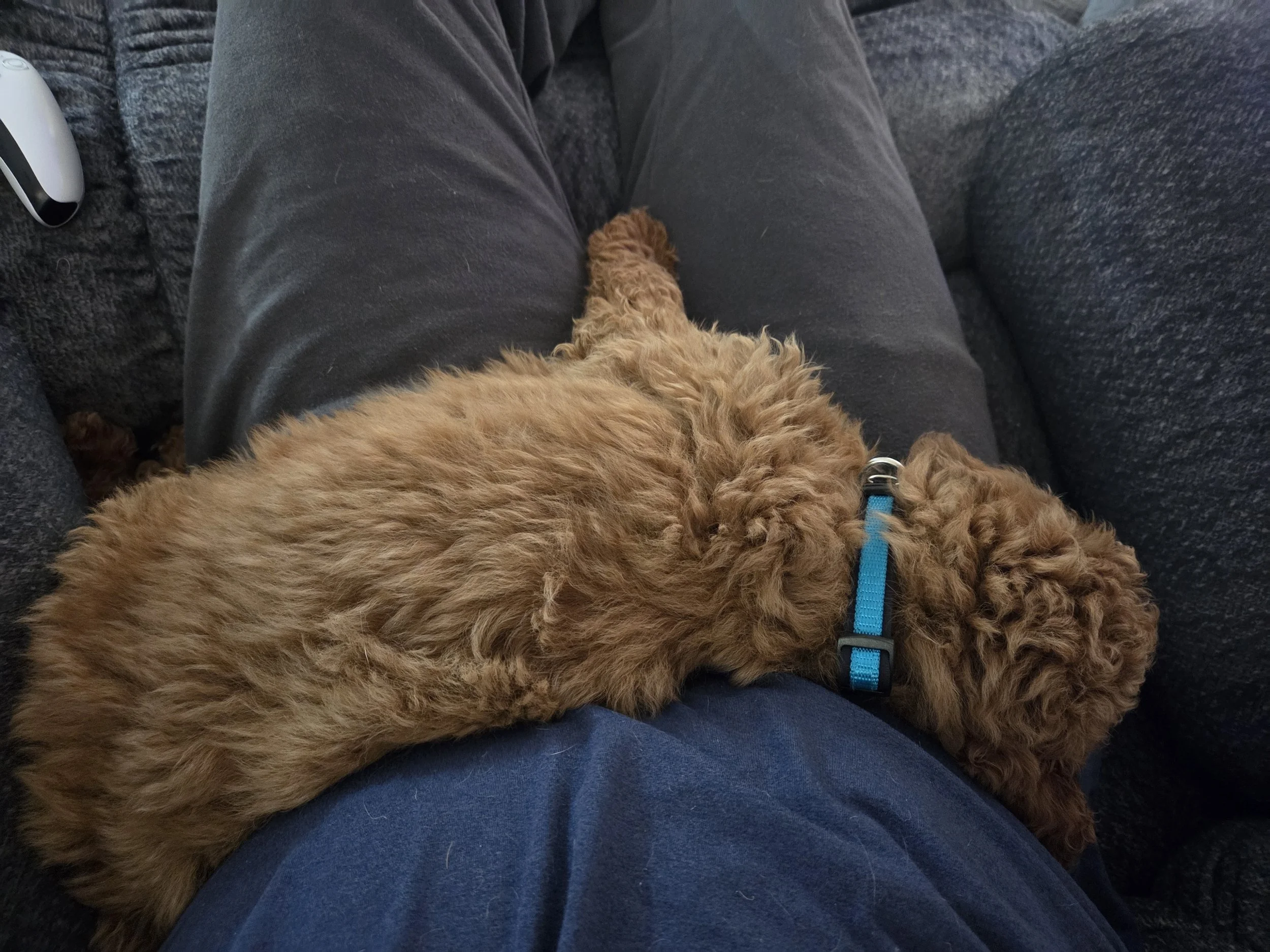 The First 48 Hours with Charlie