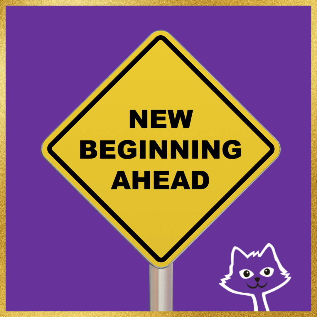 New beginnings bringing success at MagiKats!
