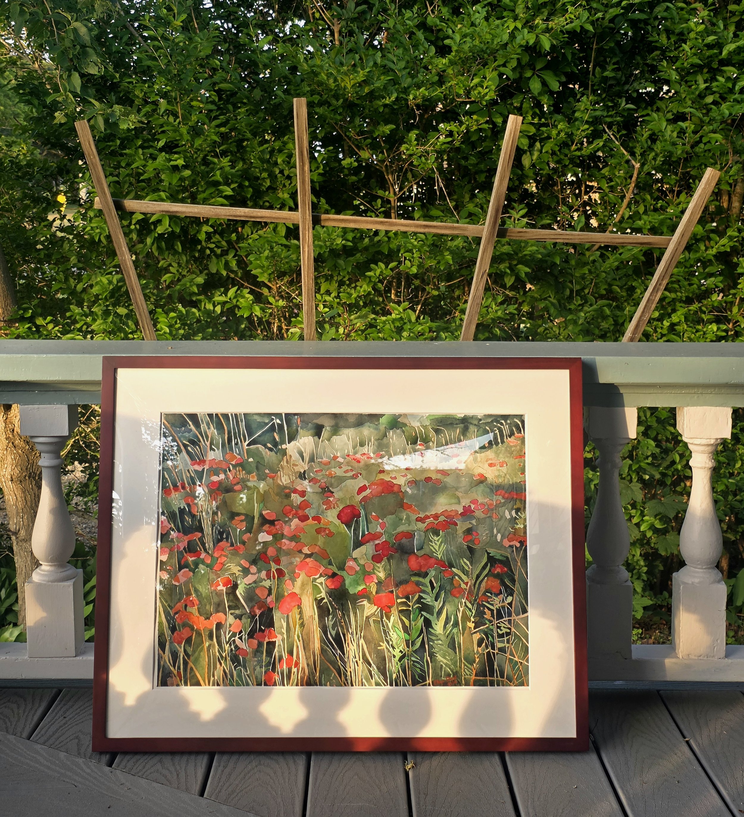 Butterfly Weed Garden, 2026