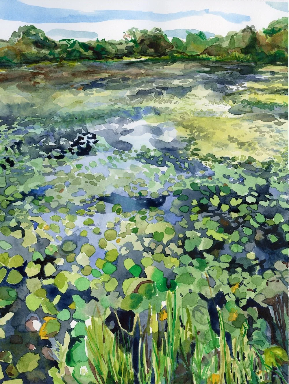 Blackwater Pond / watercolor on paper / 12 x 16 inches / 2025