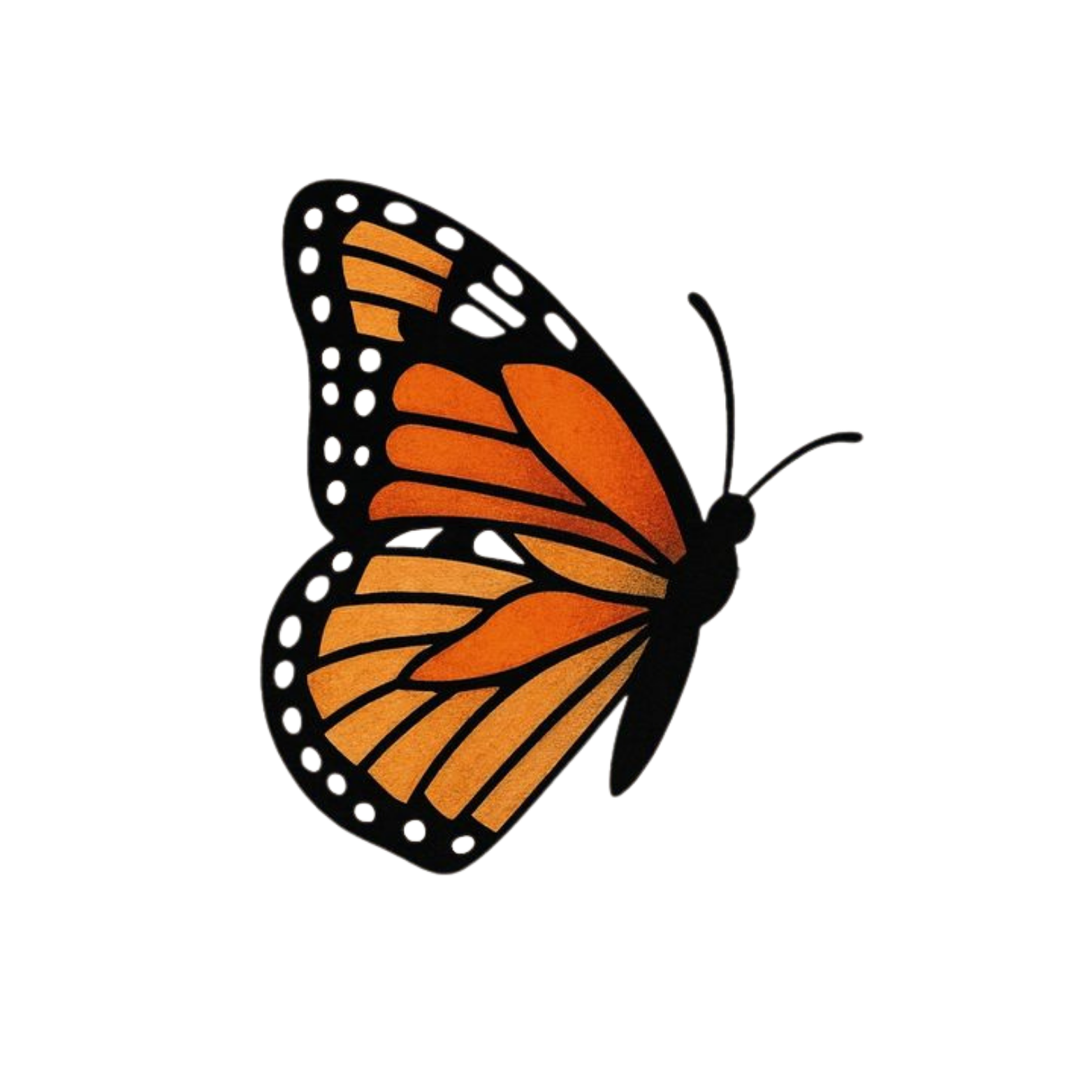 Illustration of a monarch butterfly with orange and black wings.