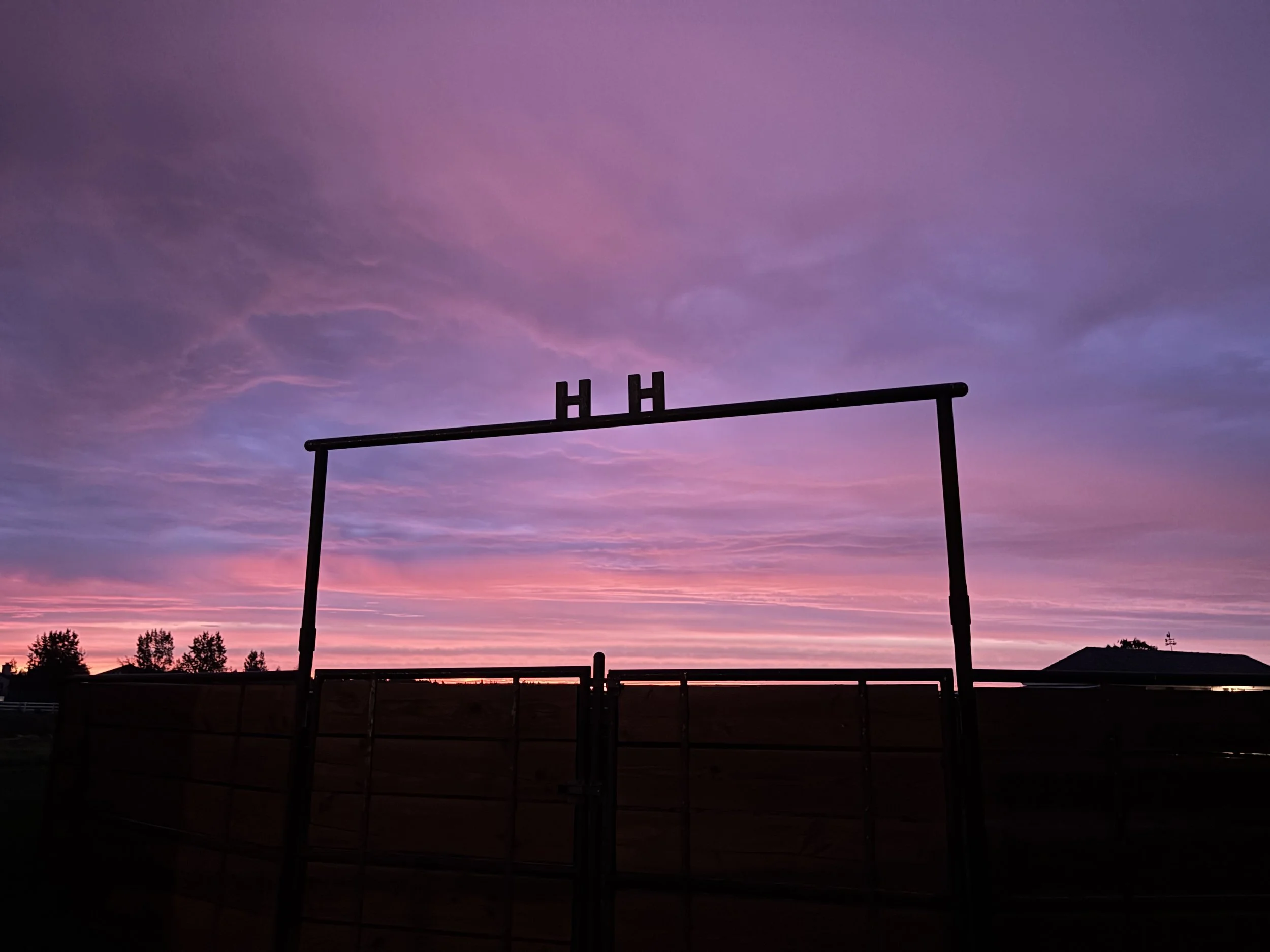 Silhouetted basketball hoop and backboard against a colorful pink and purple sunset sky.