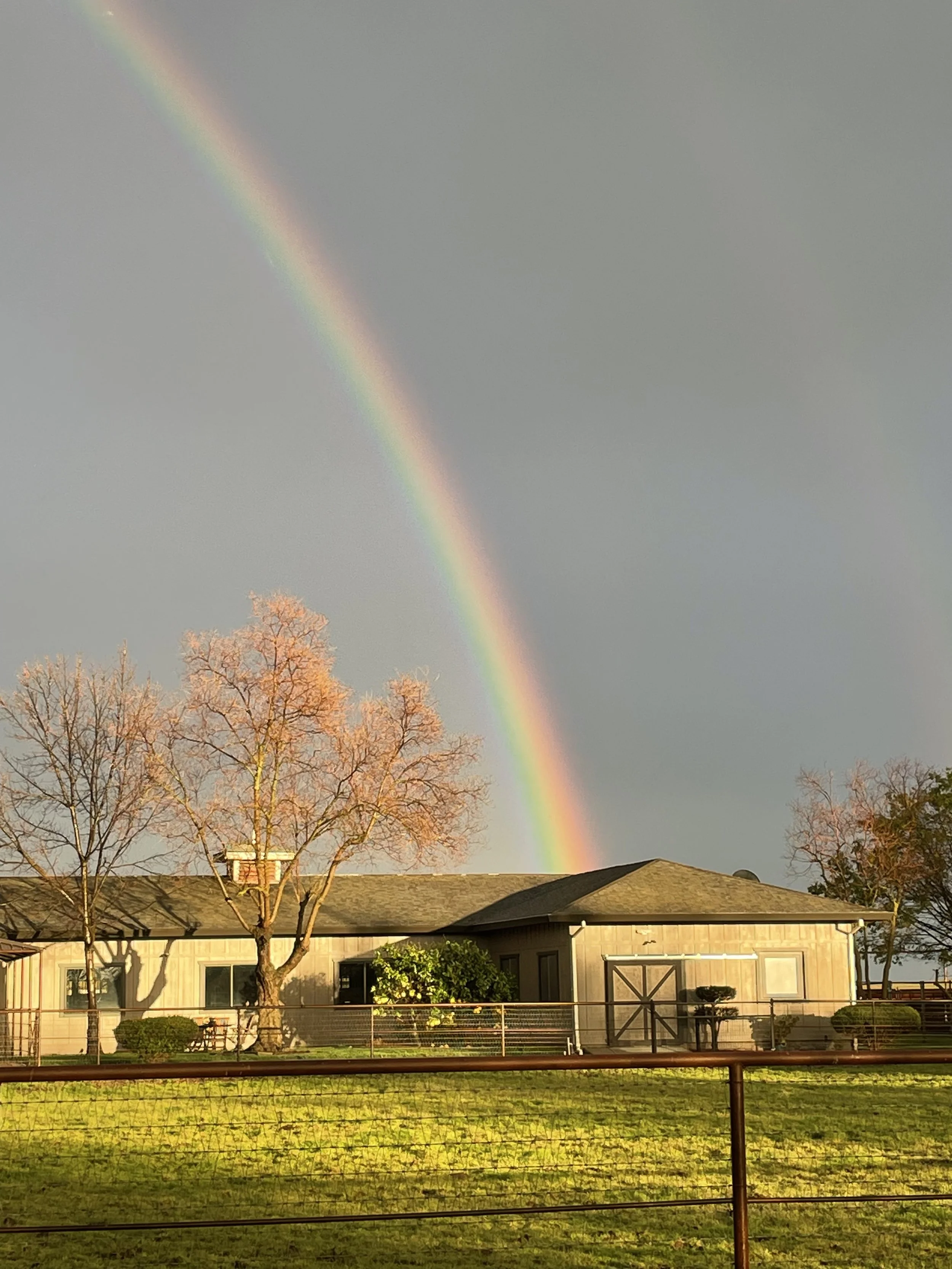 A sunset or sunrise scene with a rainbow arching across the sky, a leafless tree, and a single-story house with a dark roof and a fenced yard.