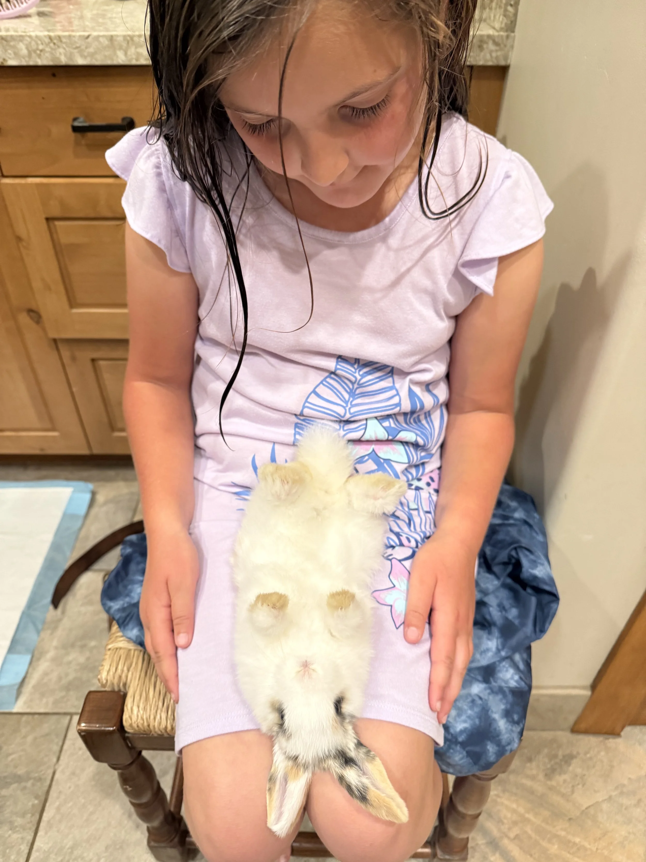 A young girl sitting on a chair with a small, fluffy baby animal lying on her lap, facing downward. The girl has wet hair and is looking down at the animal.