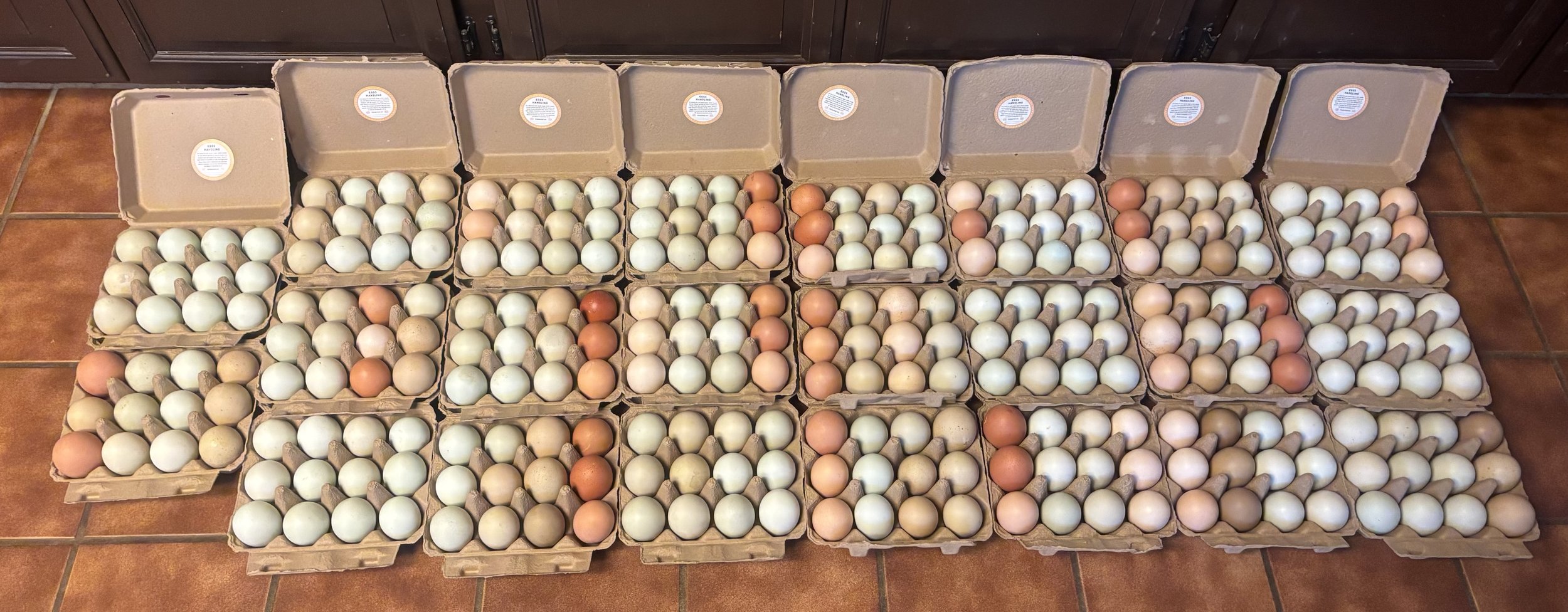 Multiple cartons of brown, white, and olive eggs arranged on a tiled floor.
