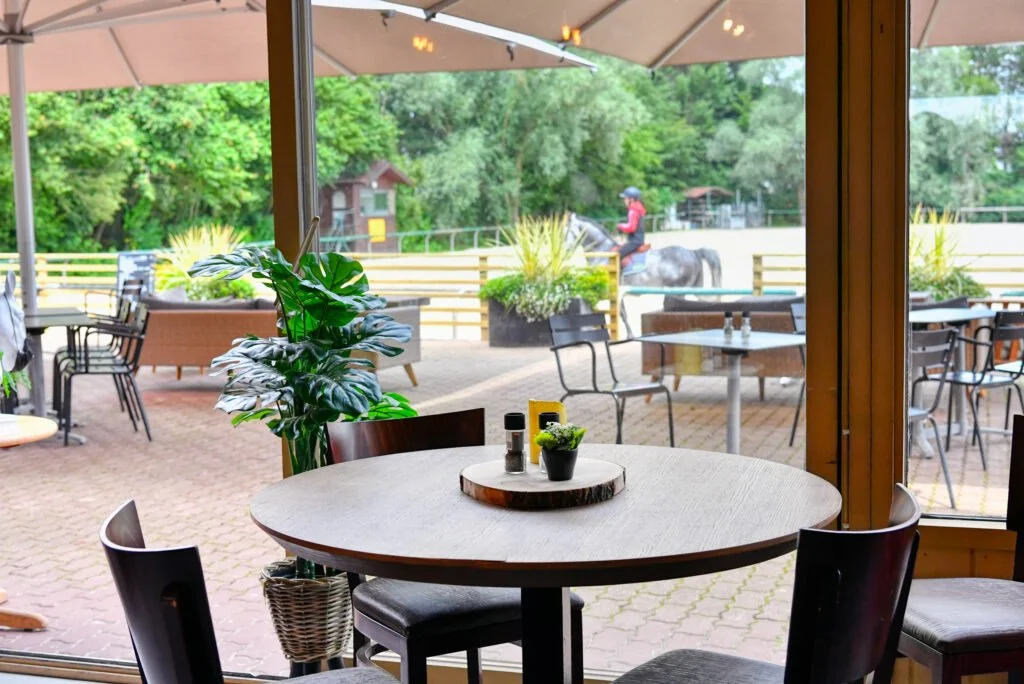 Vue d'une salle de restaurant avec une table ronde, un petit pot de plantes, et un grand plant vert à l'intérieur. À l'extérieur, une terrasse avec des tables, des chaises et un parasol. Une personne à cheval est visible au fond dans un environnement