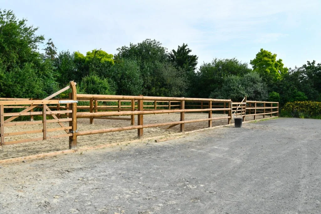 Une clôture en bois entourant un espace de terre, avec une porte en bois et un seau noir à proximité, face à une zone pavée, avec des arbres en arrière-plan sous un ciel clair.