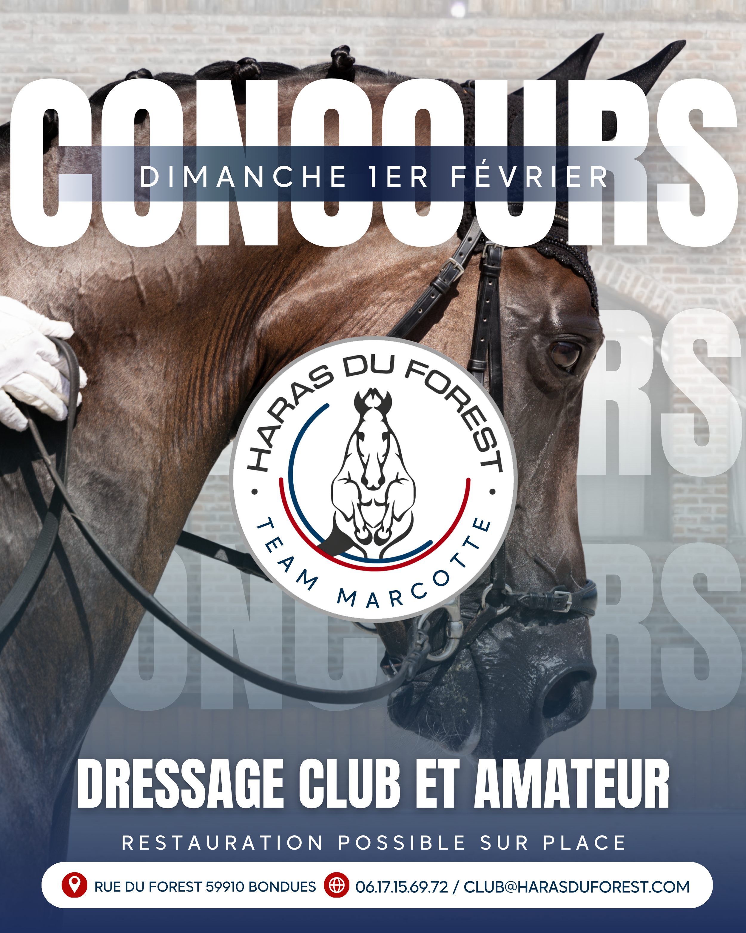 Affiche promotionnelle pour un club d'équitation et amateur avec un cheval brun portant un équipement de selle et un harnais, logo du club haras du forest, texte en français sur l'événement et les détails de contact.