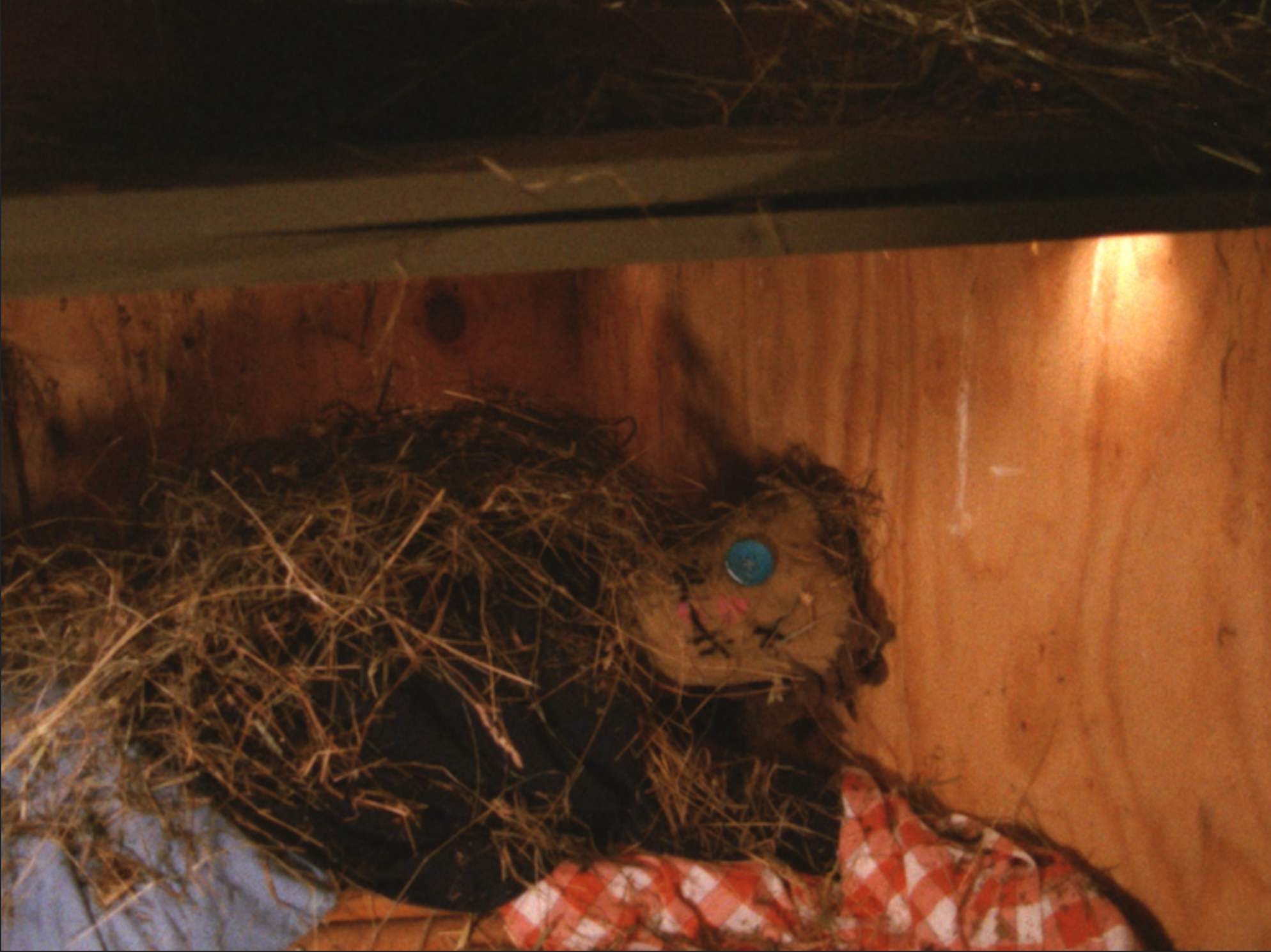 Screen Shot 2023-11-20 at 7.21.43 PM.png