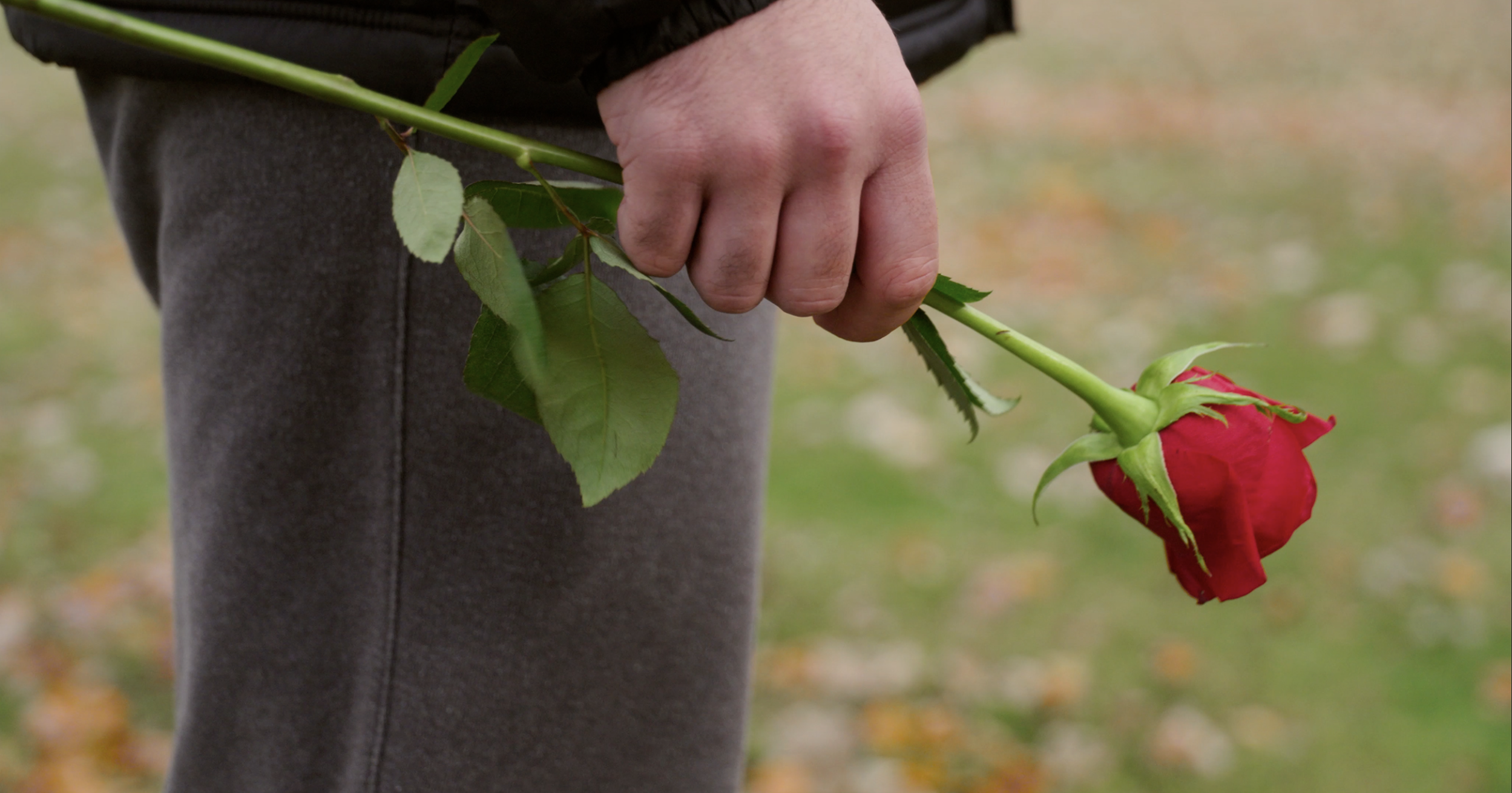 Screenshot 2026-01-16 at 10.29.03 AM.png