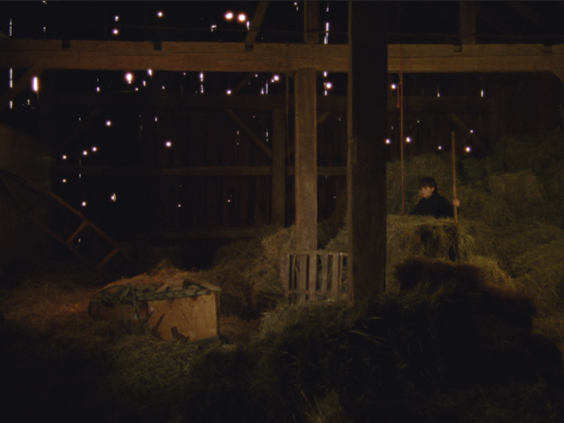 Screen Shot 2023-11-28 at 7.10.39 PM.png