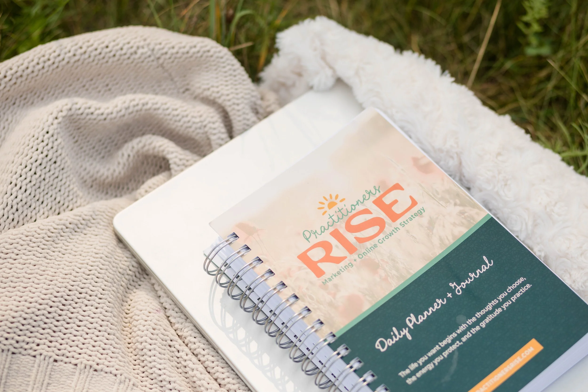 What Is The Practitioners RISE Model?