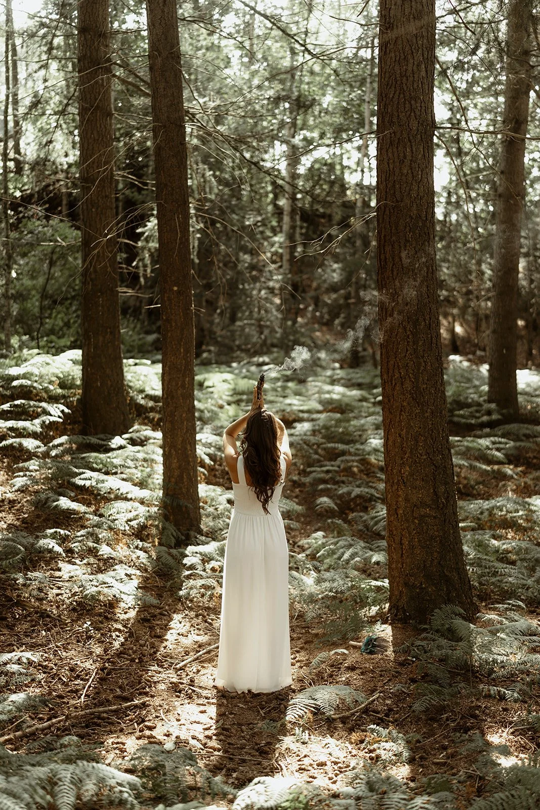 1-hour Dragon Healing (online)