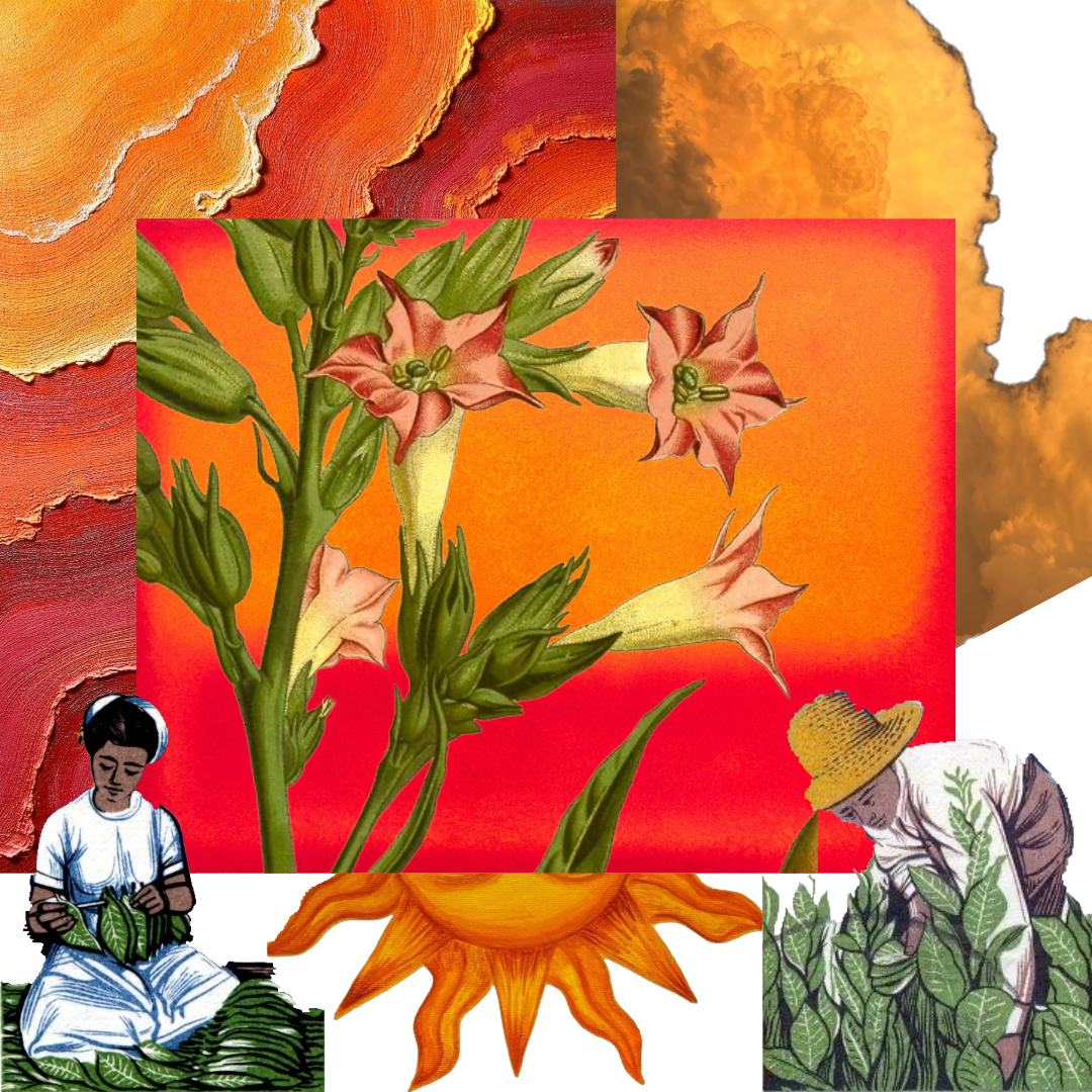 'tobacco romanticized'