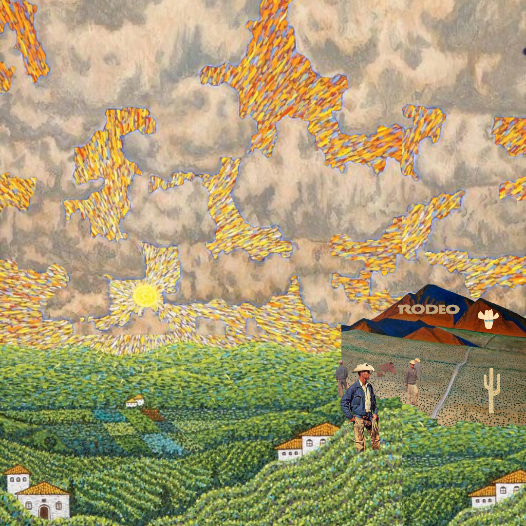 'a valley, sunkissed'