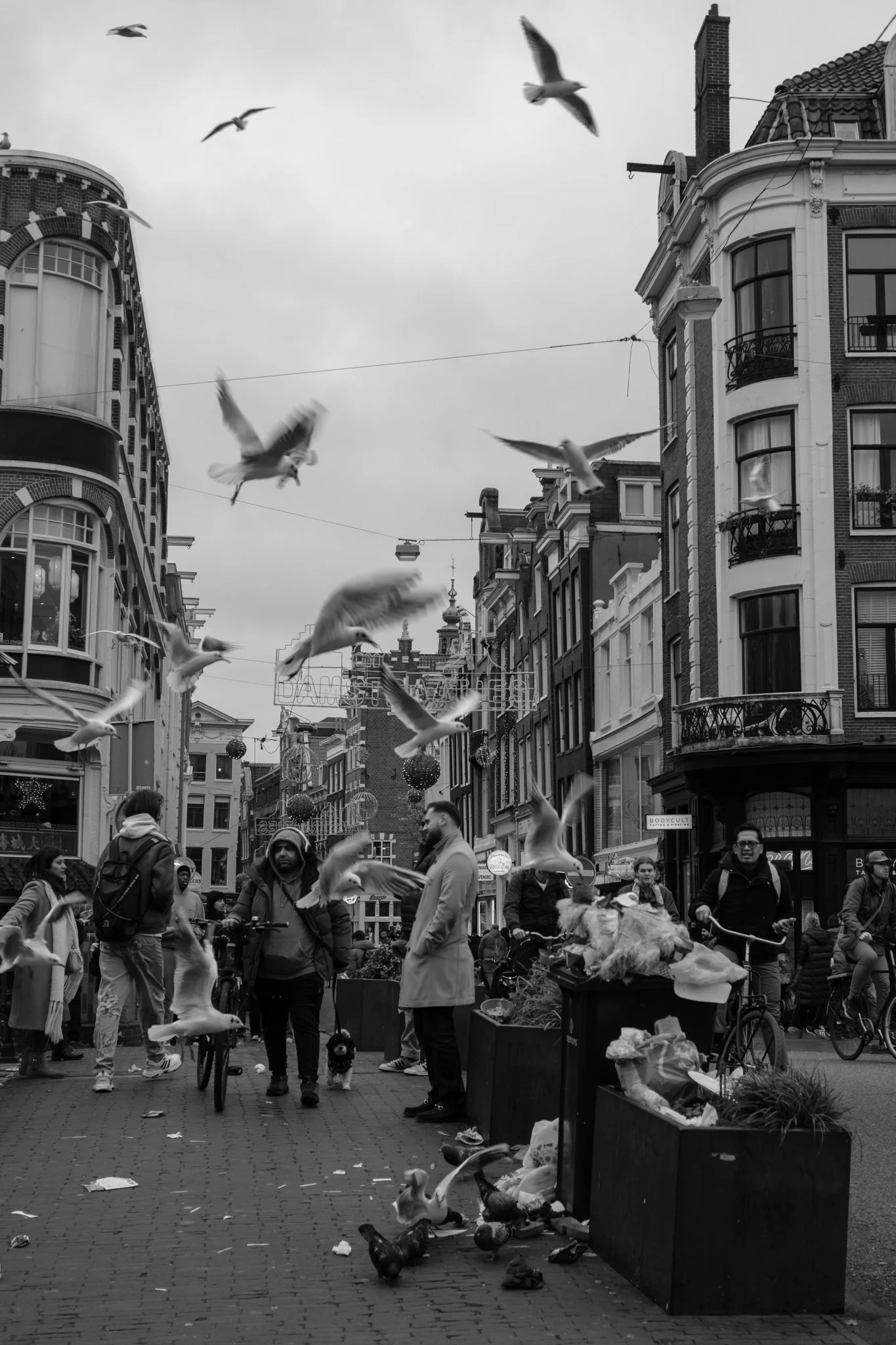 Stadsbeeld in zwart-wit met mensen, vogels in de lucht, en gepubliceerde winkels en gebouwen op een drukke straat.