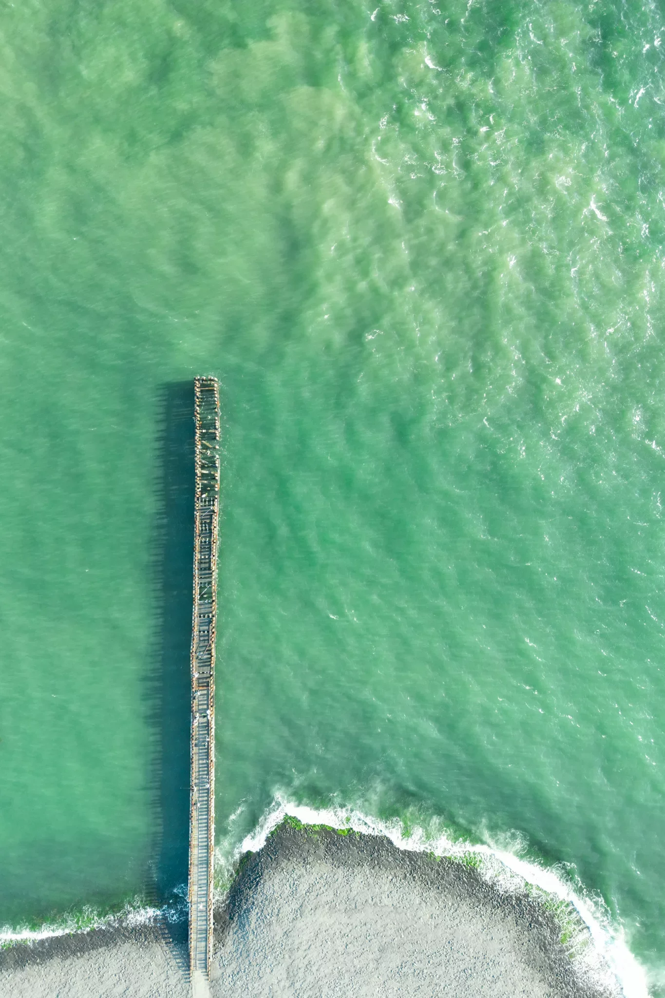 Pier – Westkapelle (2025)