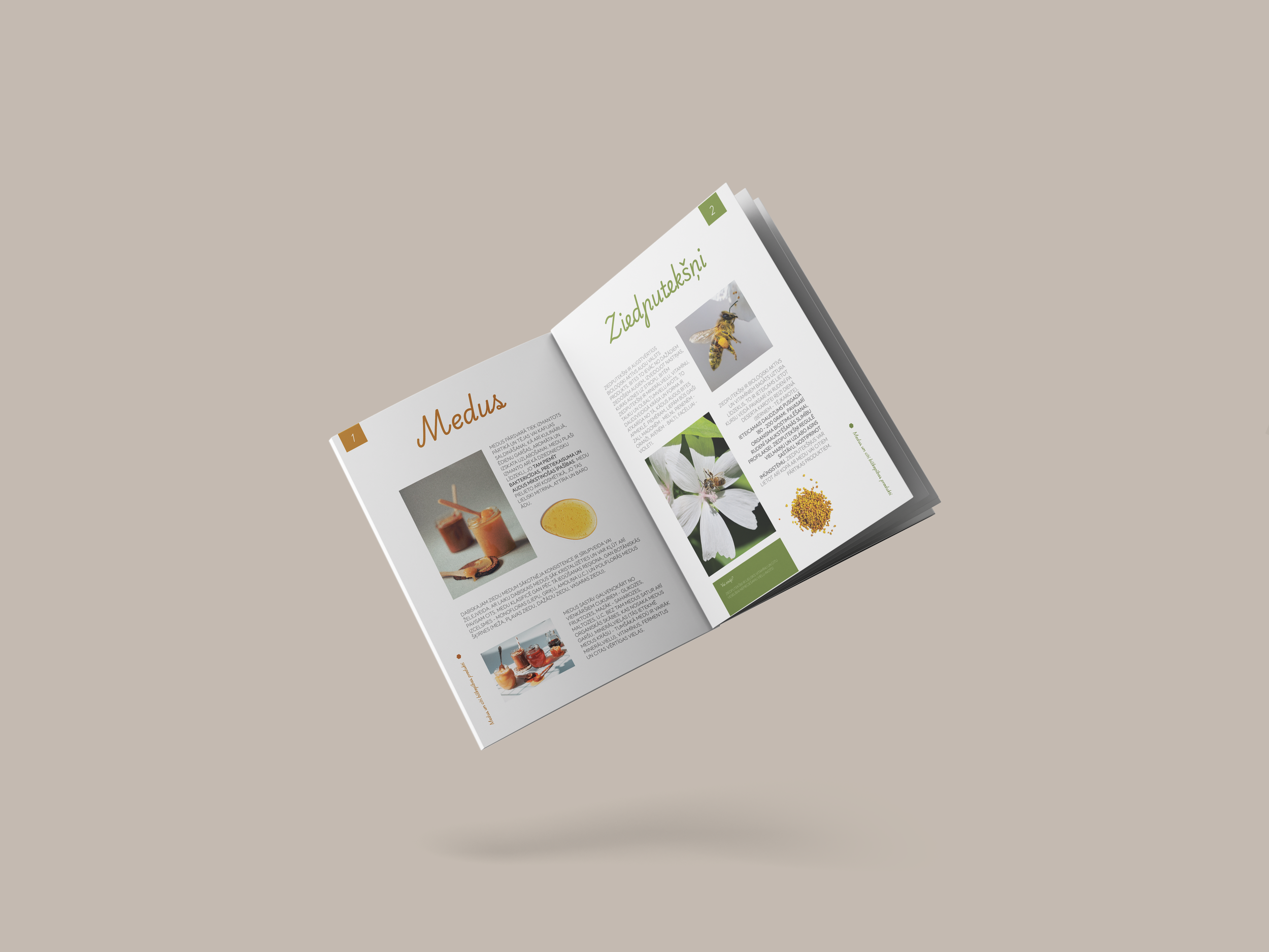 Brošūra – Bites un to pasaule īsumā