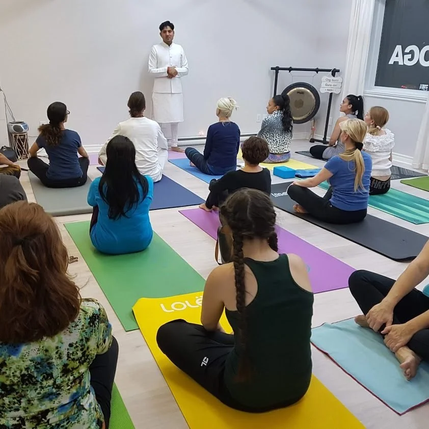 Professional Training: Yoga Teacher Training 200 hours (French)