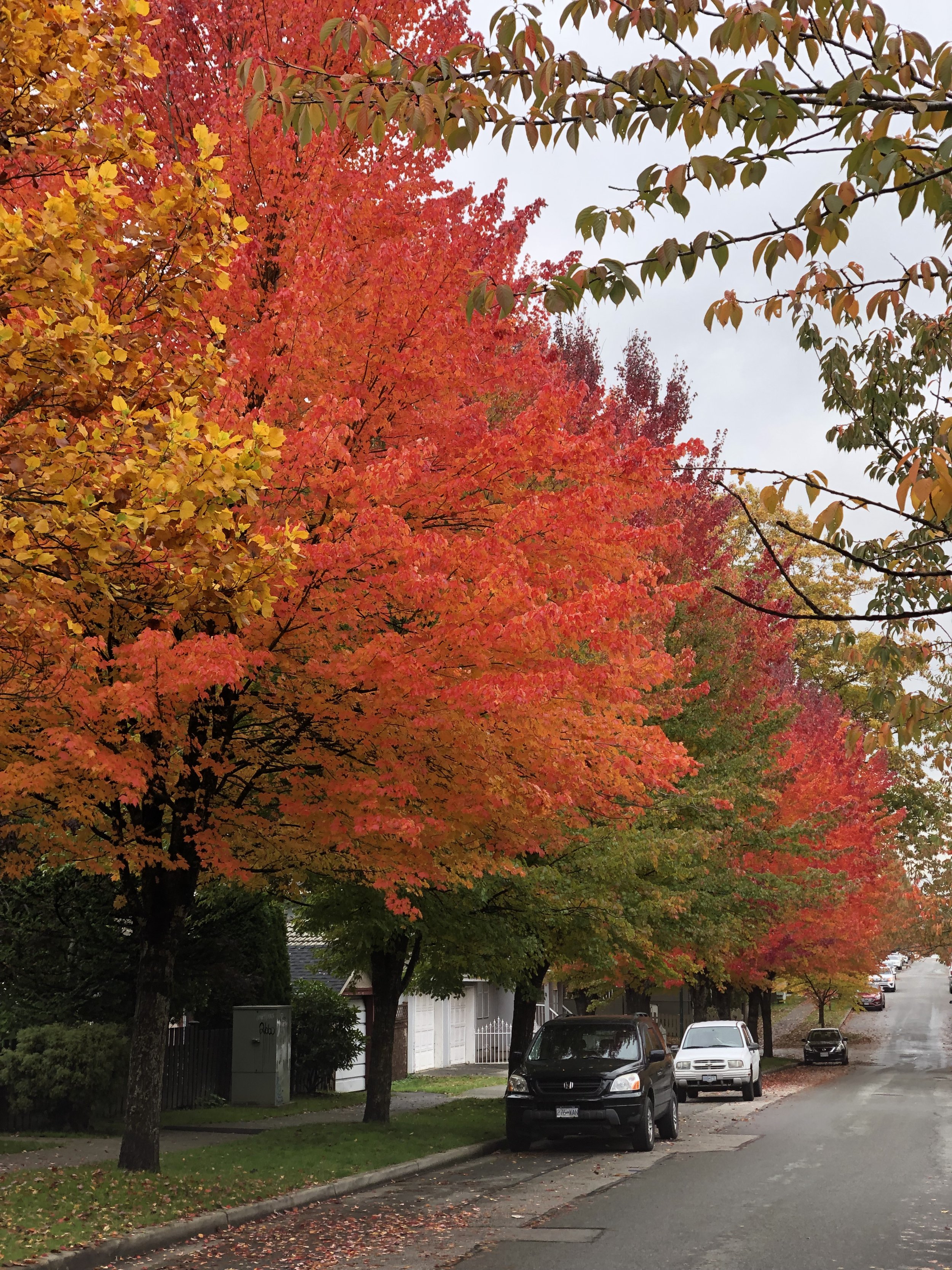 Faith, Doubt, and Spiritual Disorientation - Exploration when beliefs shift or certainty crumbles