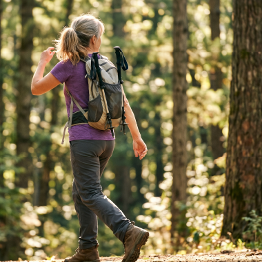 Hormone Replacement for Women. Primer Part 2: Progesterone and Testosterone