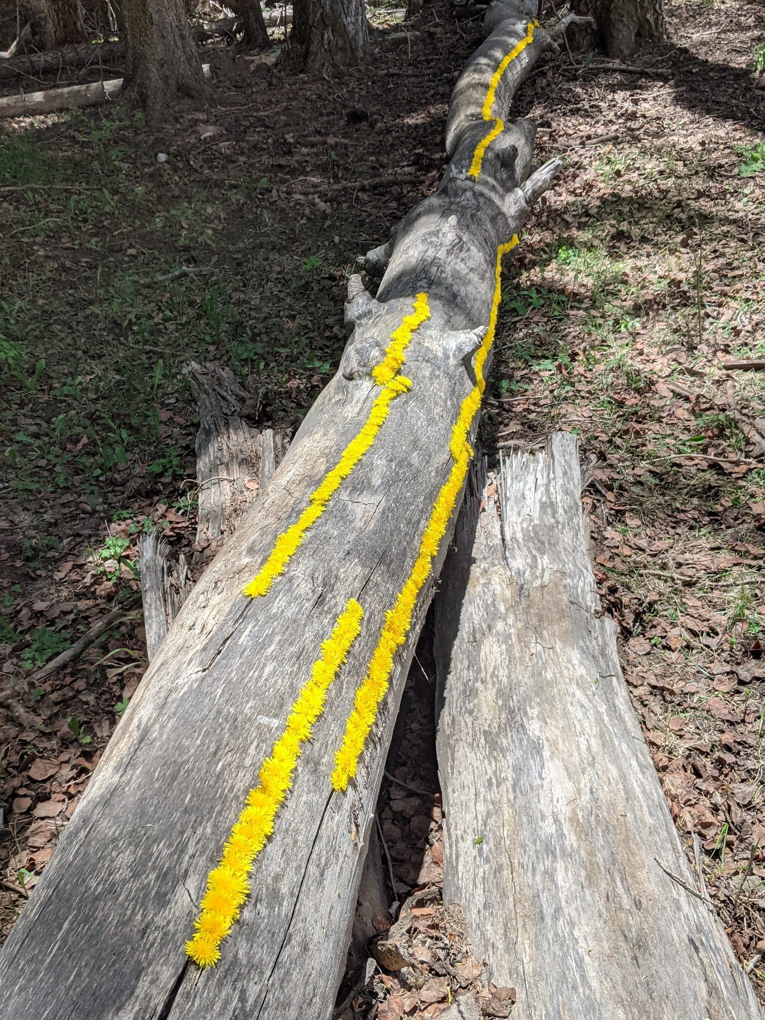 Preparing for Purpose