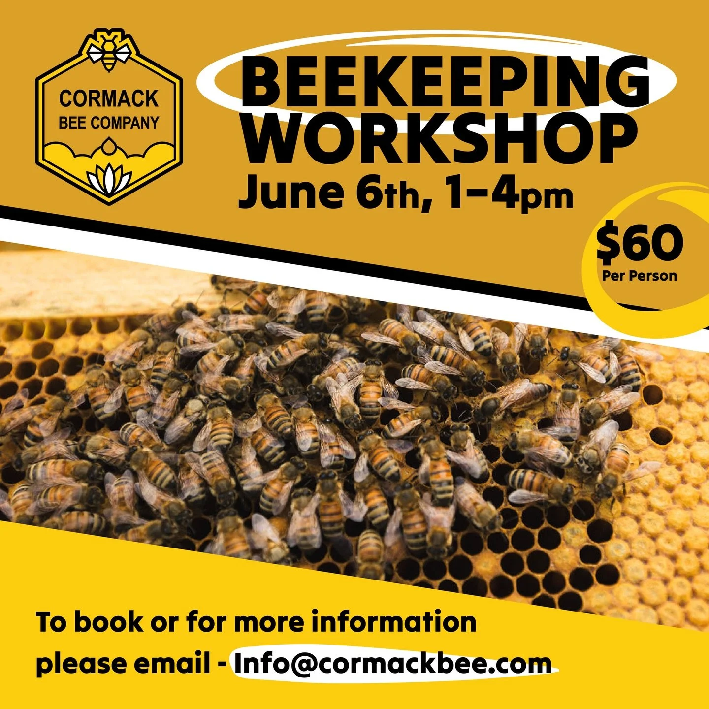 Join us for a hands-on beekeeping workshop on June 6, 2026, from 1&ndash;4 pm, perfect for beginner beekeepers. 

Step inside a working hive and learn how it all comes together, from bees to brood, while also learning the language of beekeeping. This