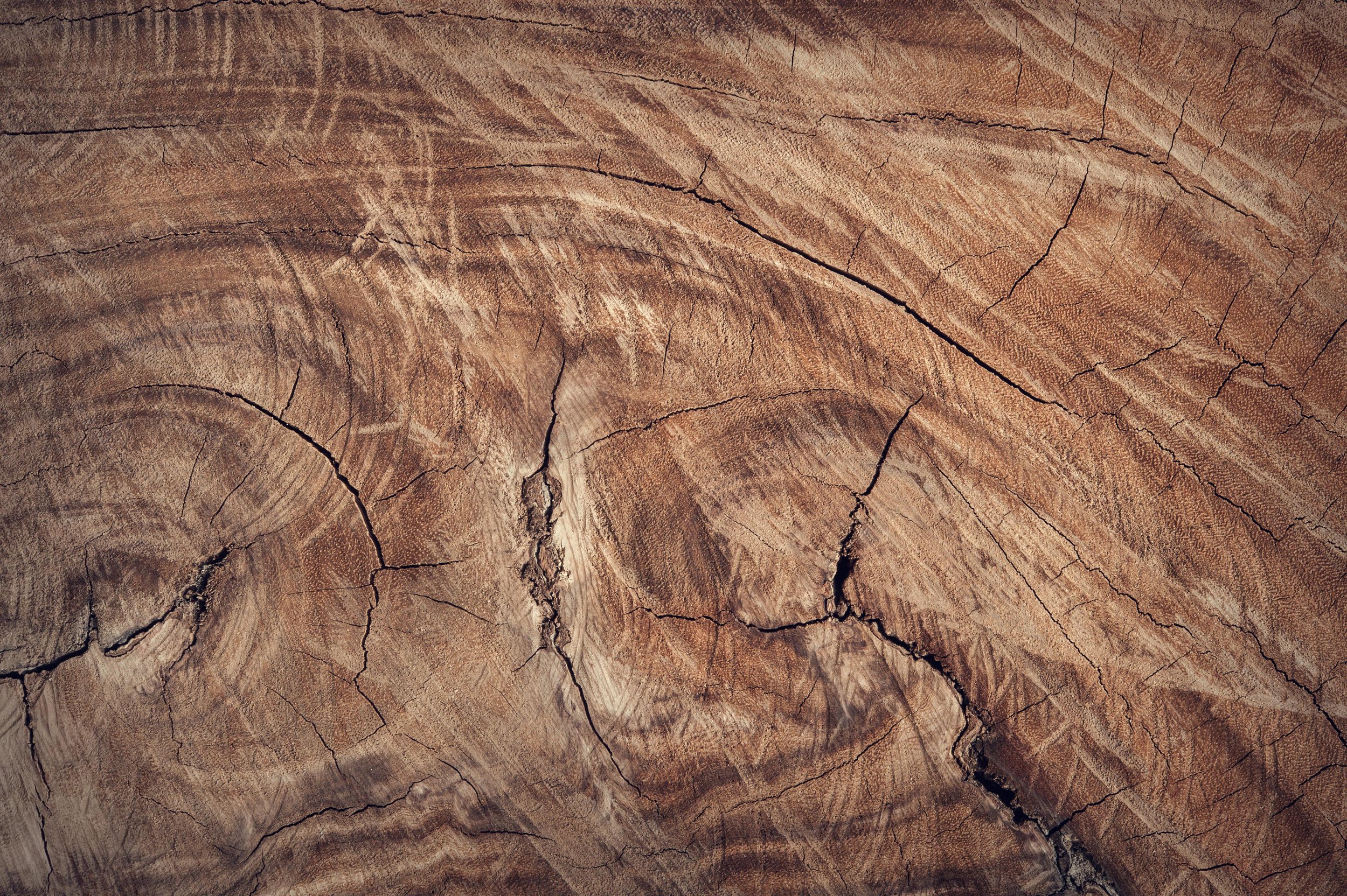 Close-up of a cracked and textured wooden surface showing grain patterns and natural cracks.