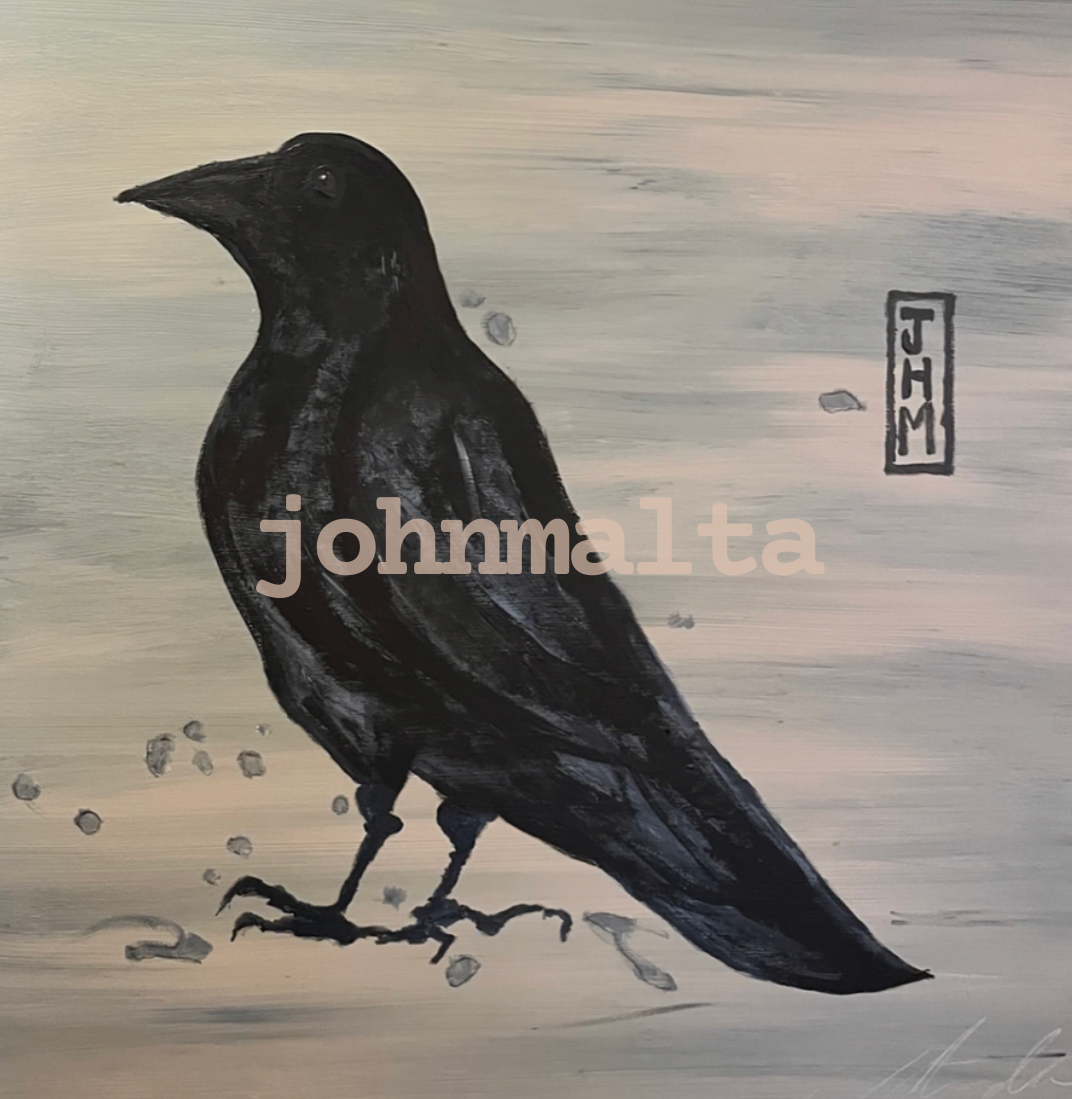 crow: 48x48 acrylic on canvas - sold