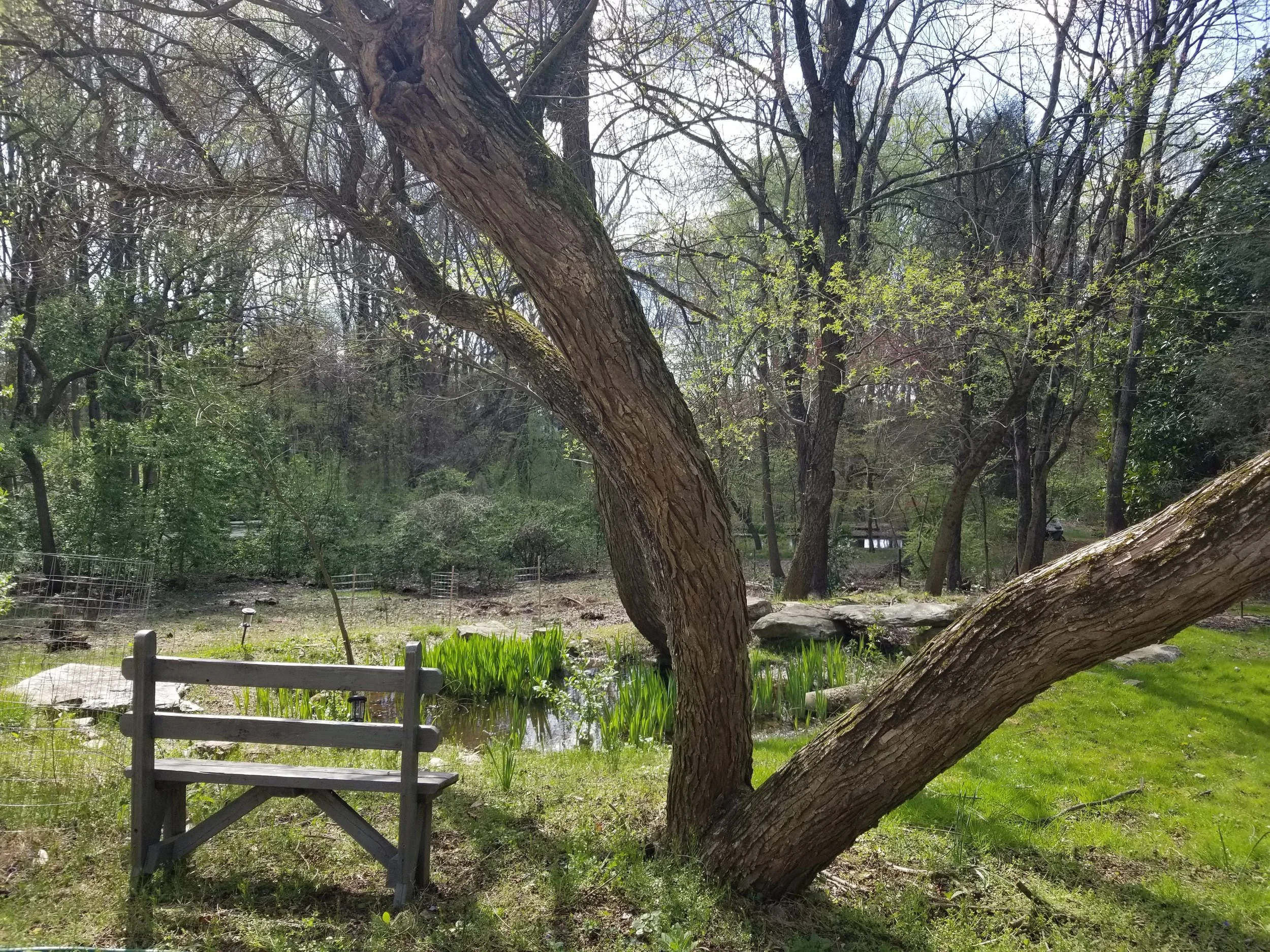 The Hockessin Project