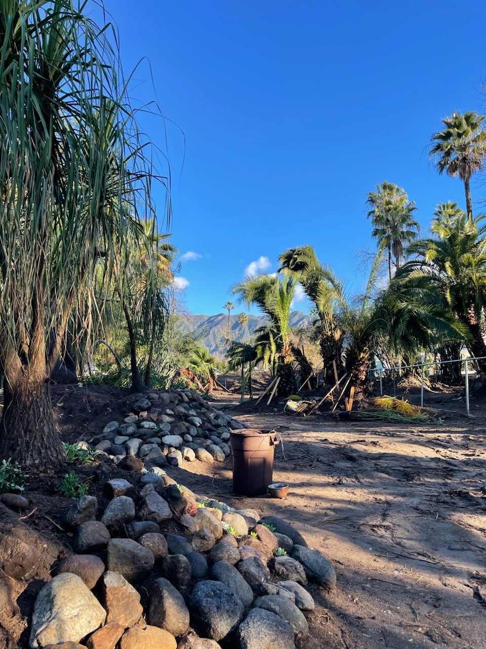 The Chambers Project