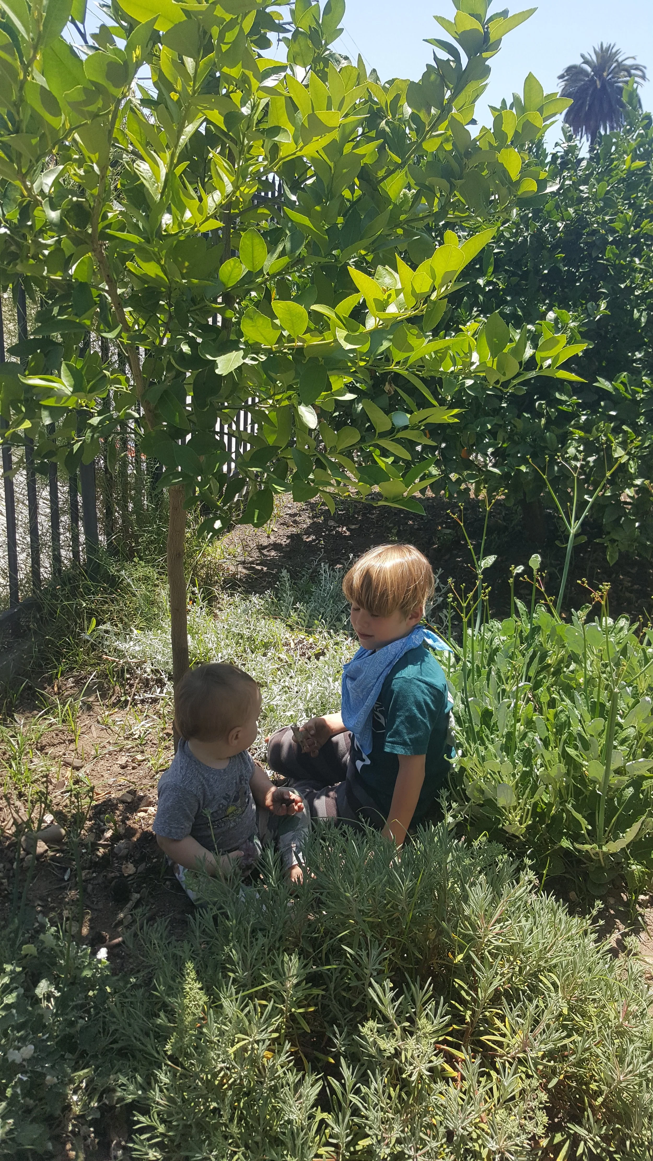 The Los Angeles Project