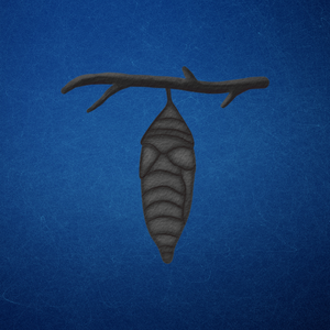 A dark-colored chrysalis hanging from a small tree branch representing the healing process