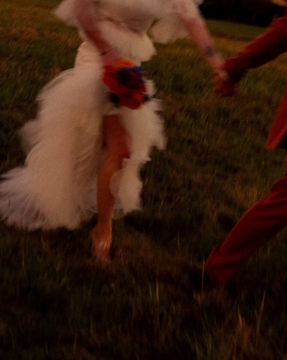 A dog with a feathered friend in a nighttime outdoor setting.
