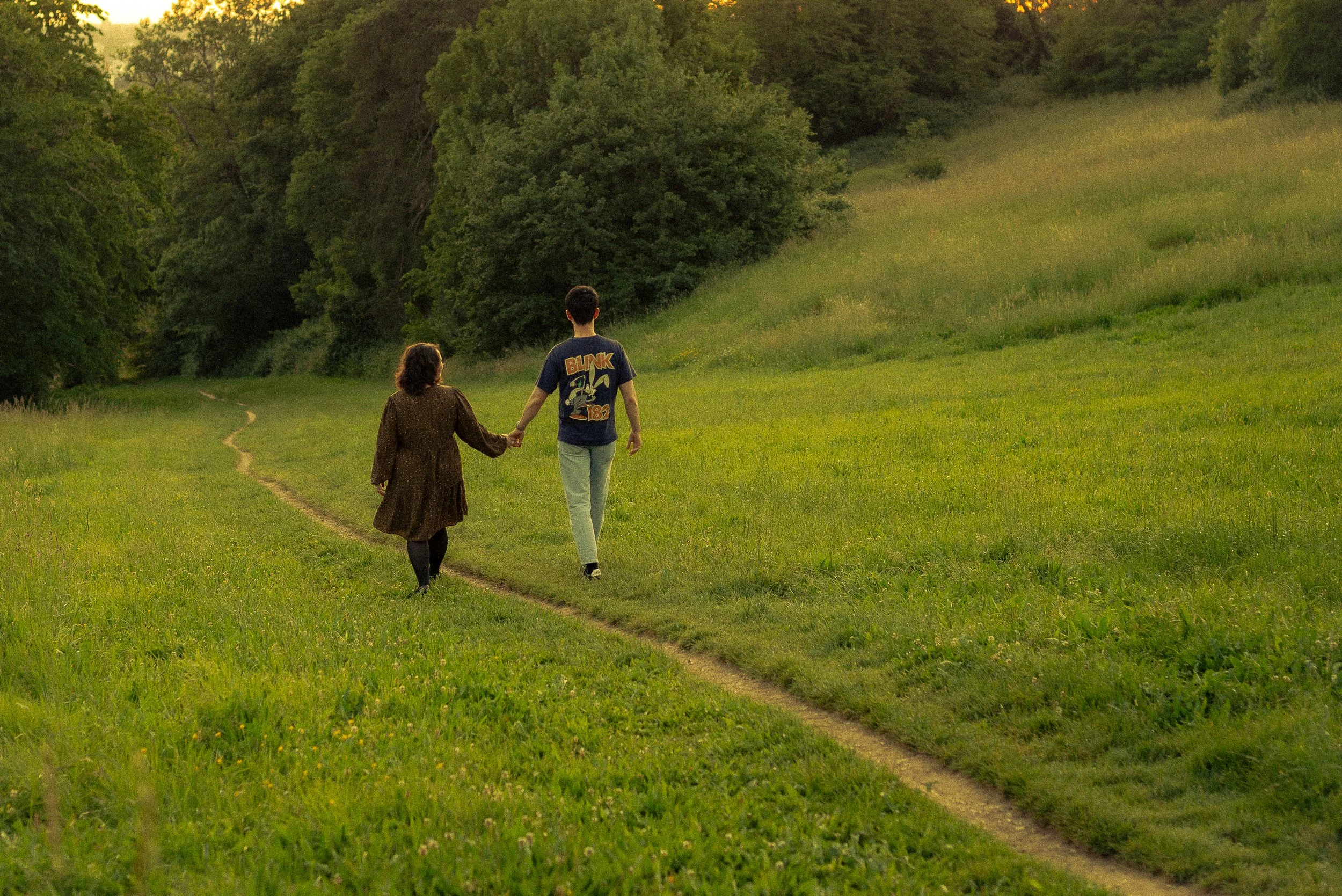 Deux personnes, un homme et une femme, marchent main dans la main sur un sentier au milieu d'une prairie verdoyante entourée d'arbres, au crépuscule.