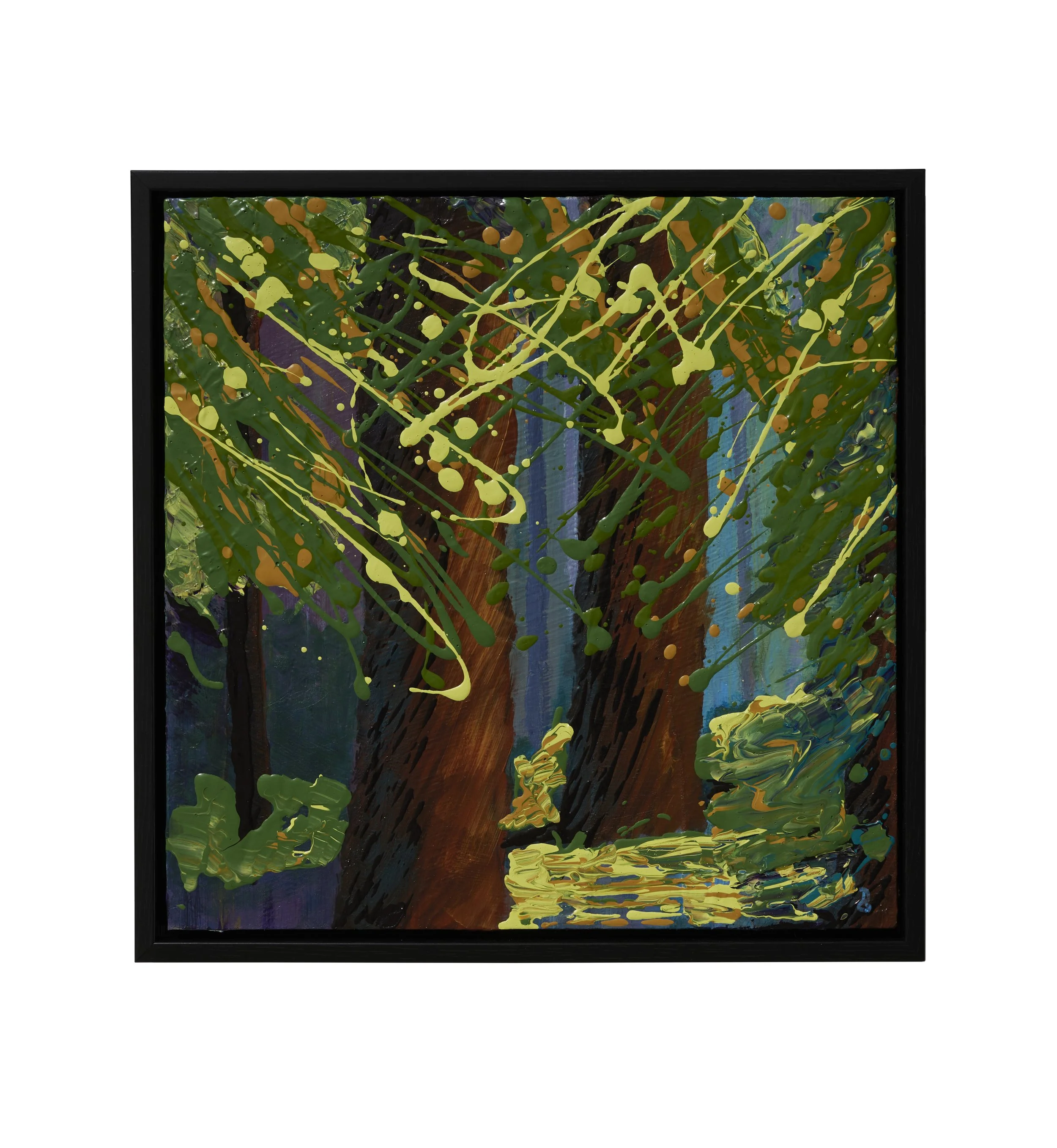 Redwoods - Print