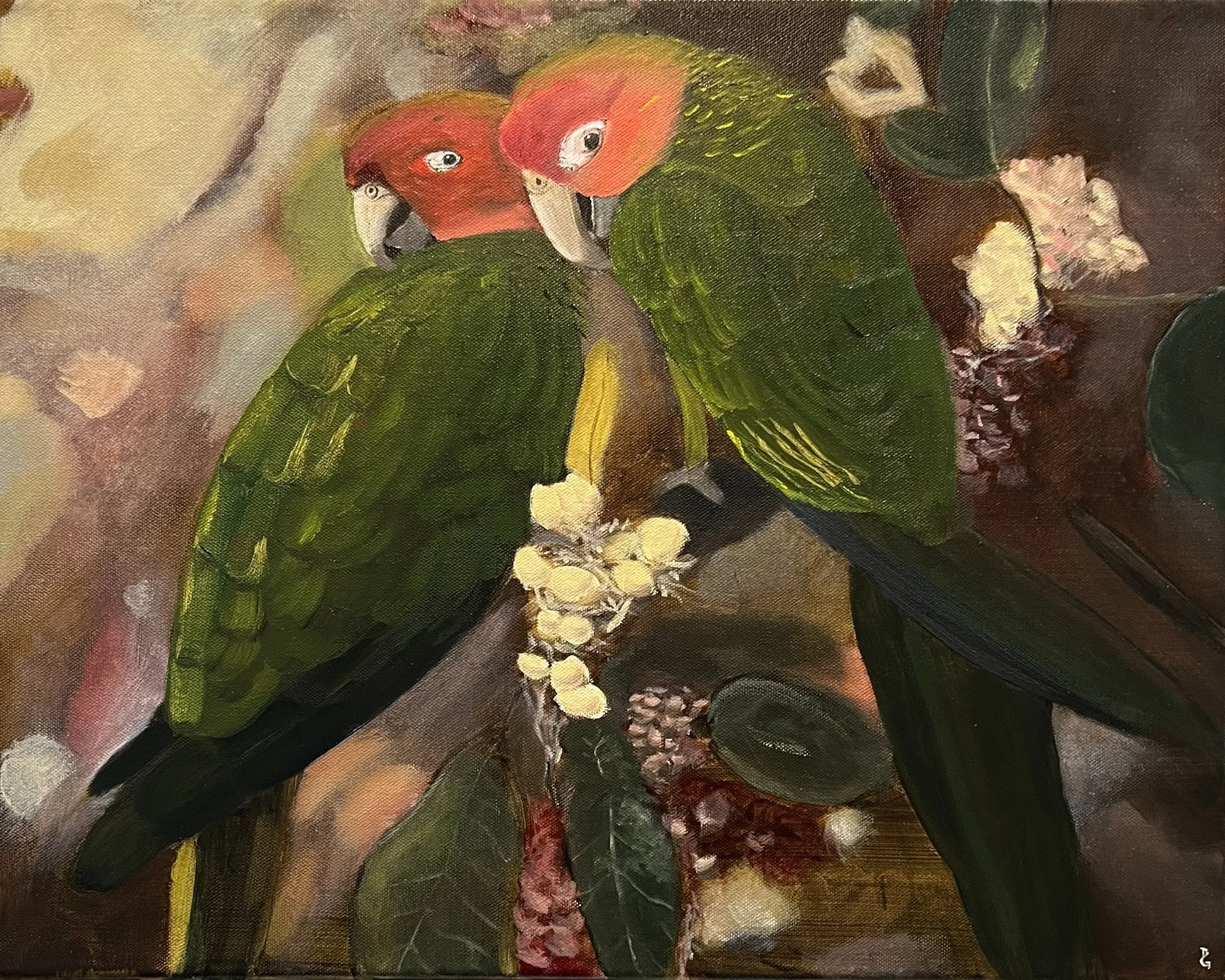 Parrot Companions