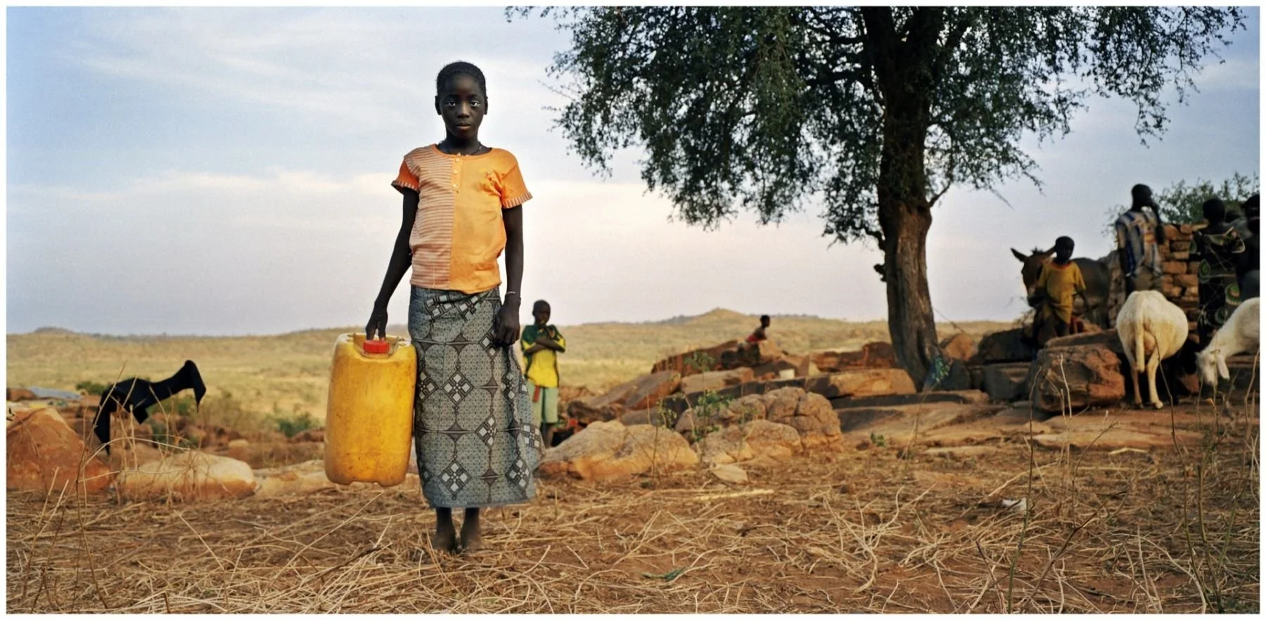 A young girl standing outdoors holding a yellow water container, with a barren landscape, other children, and goats in the background under a large tree.