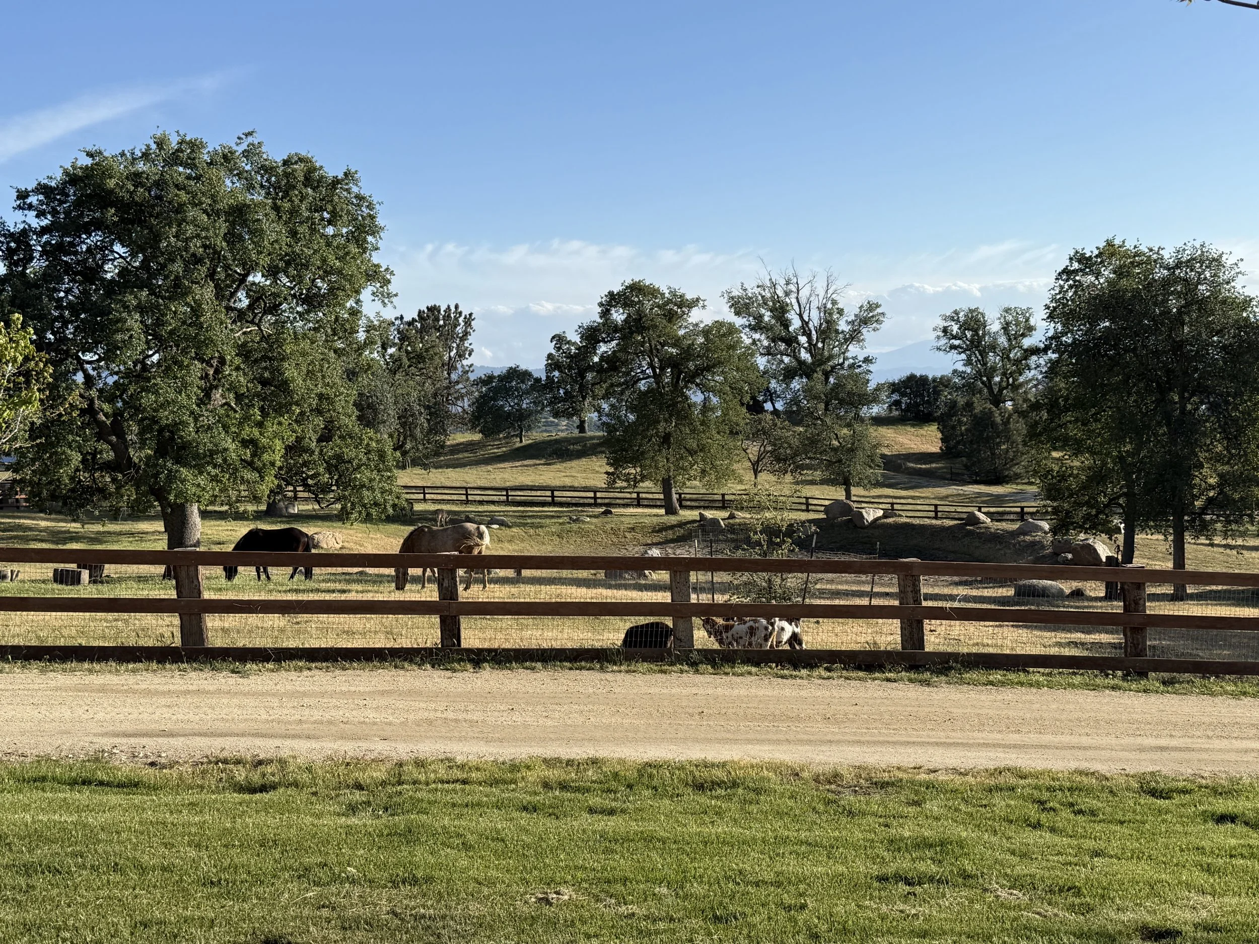 Wild & Still: Women's Retreat