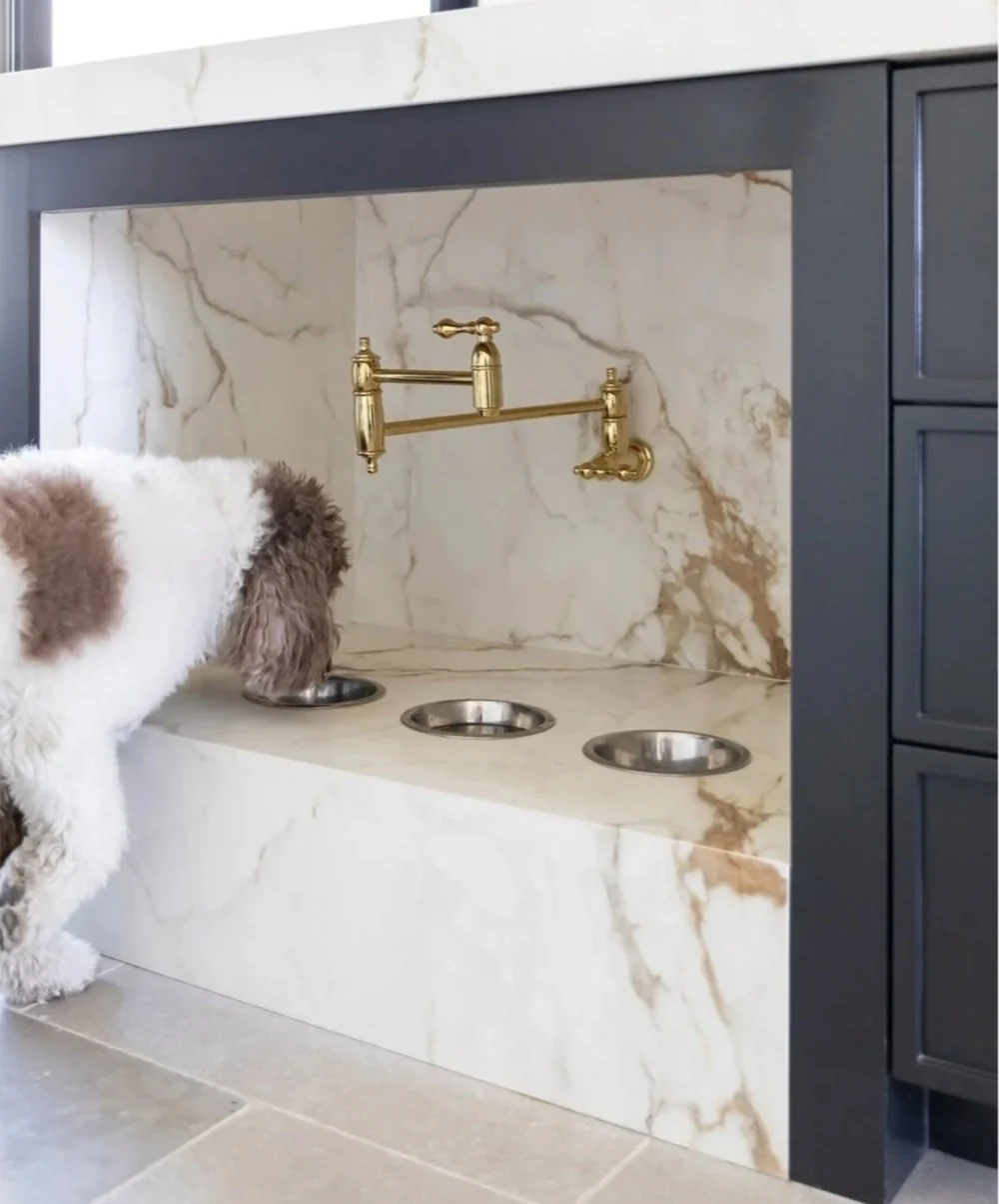 Pet-friendly Design Pet-friendly Interior Design