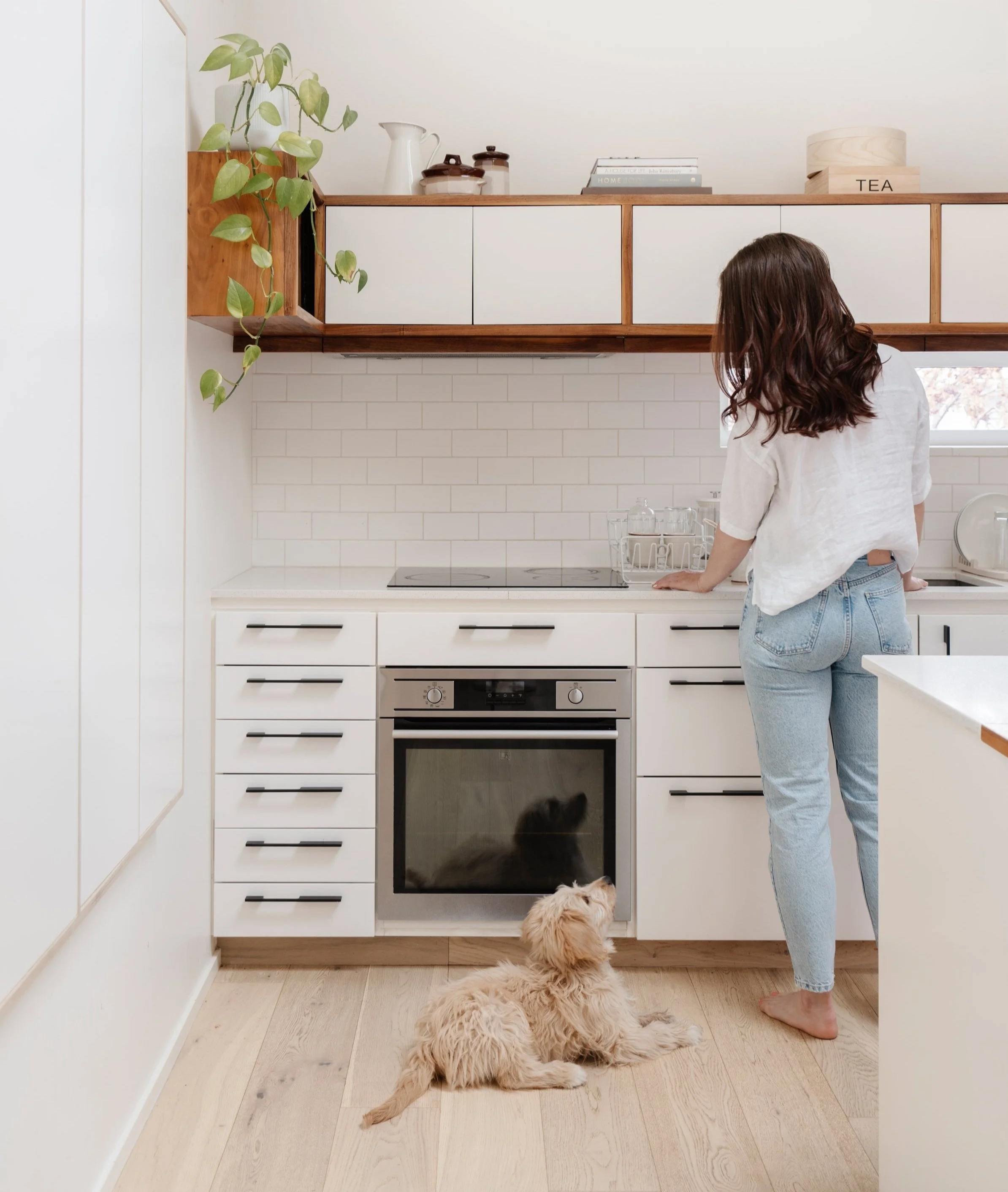 Pet-friendly Flooring Pet-friendly Tiles Pet-friendly Rugs