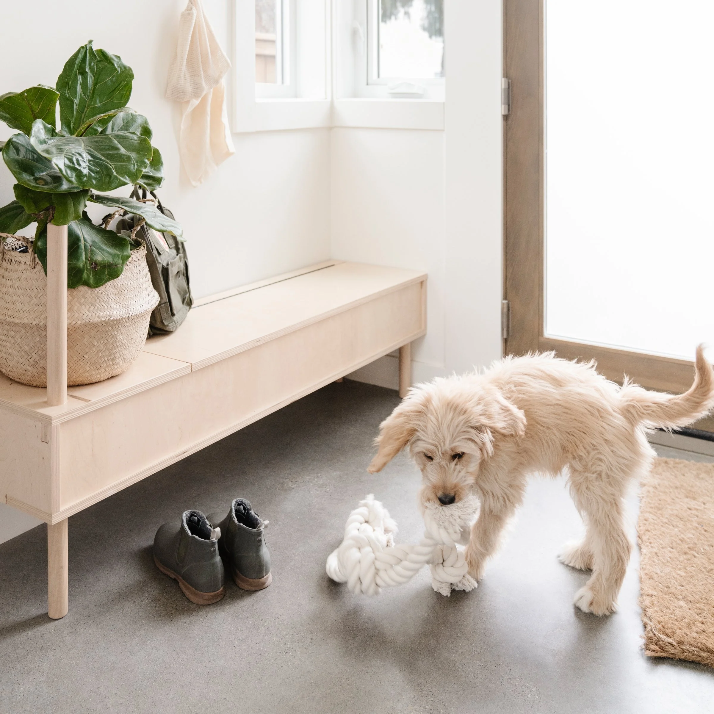 Pet Storage Solutions