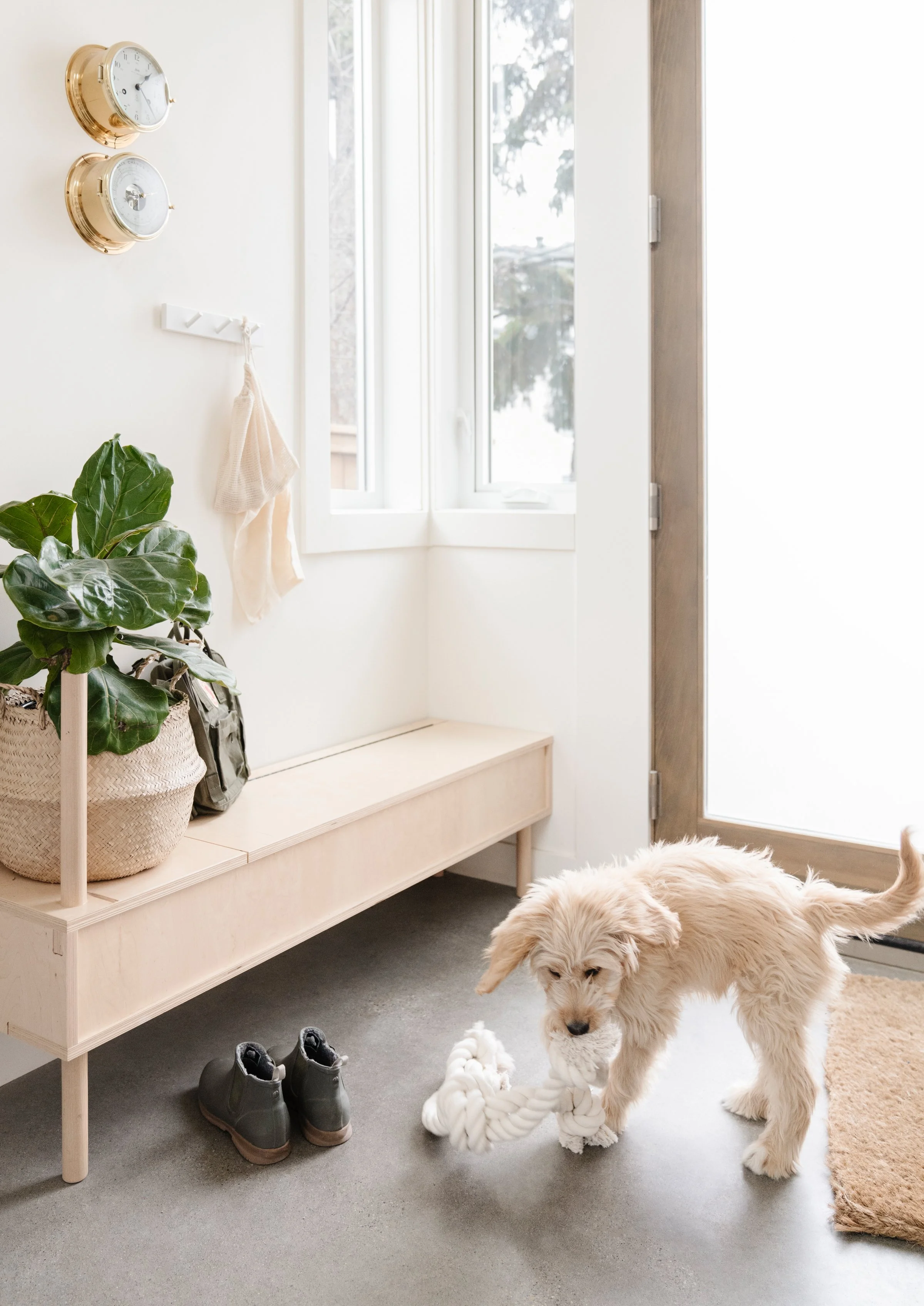 Designing a Pet-Friendly Home: Stylish &amp; Functional Tips
