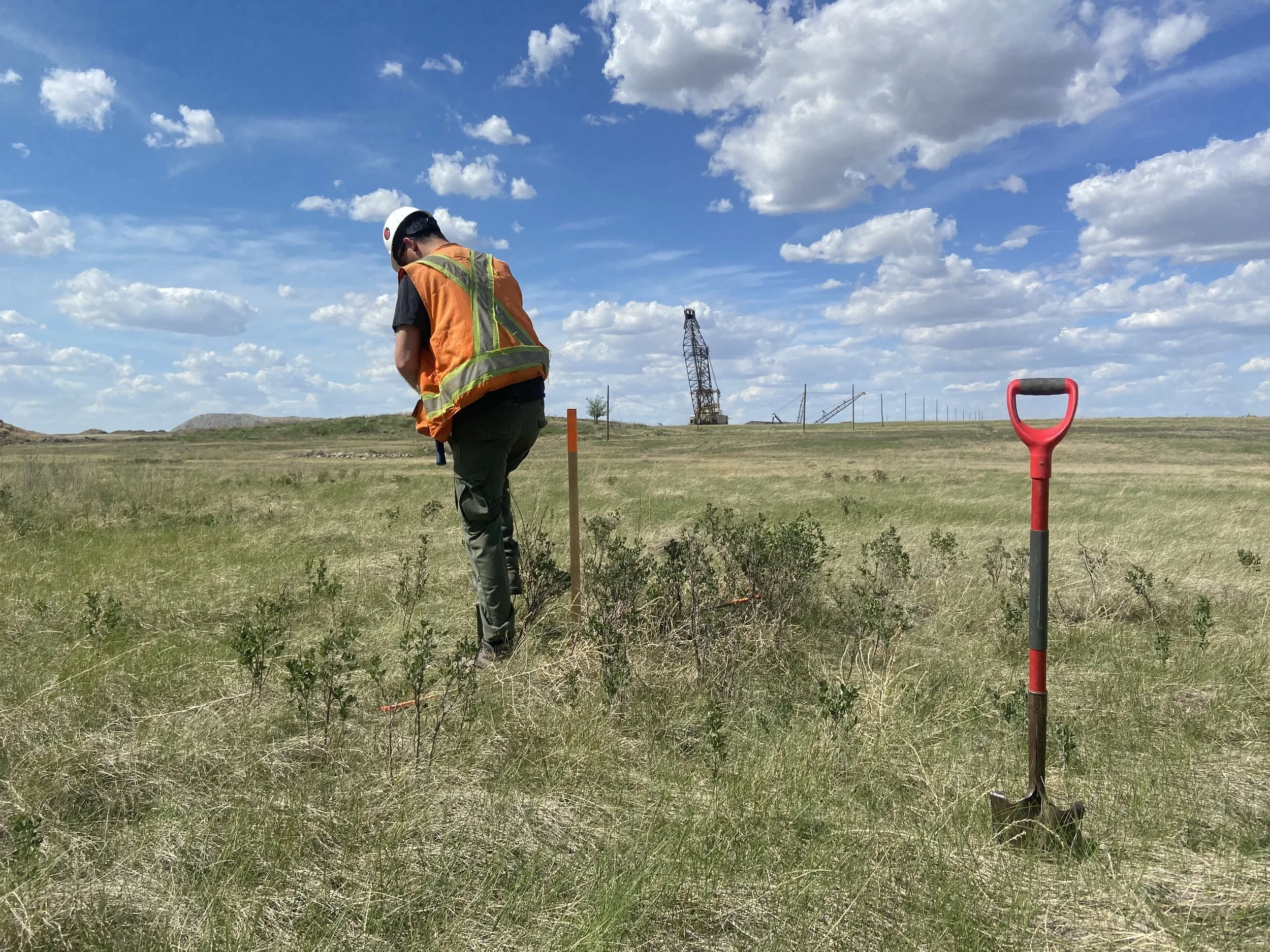 Archaeologist completing a Heritage Resources Impact Assessment field survey near an oil and gas project in Saskatchewan. Archaeologist is wearing high visibility vest and hard hat. Standing in a lush green