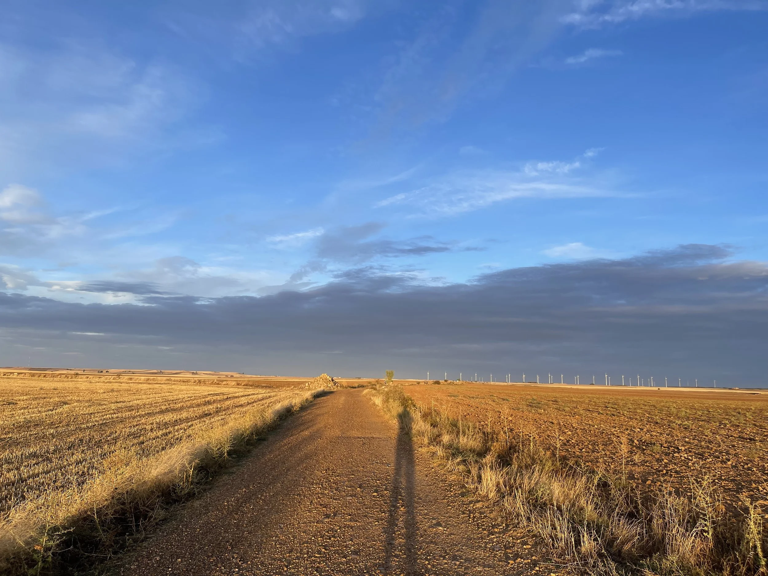 Path along the Camino de Santiago, symbolizing the Second Camino journey