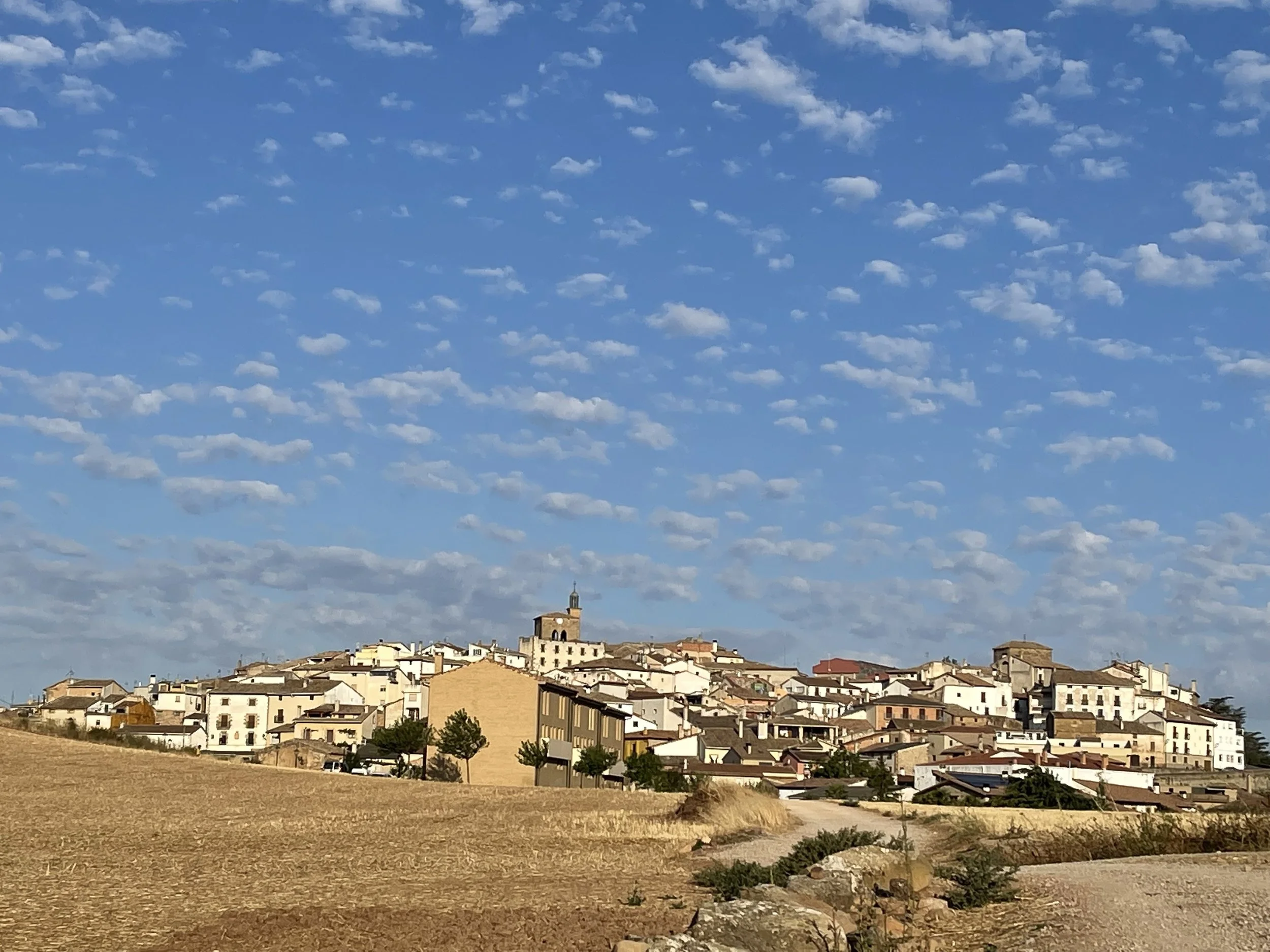 What Science Now Confirms About the Camino de Santiago