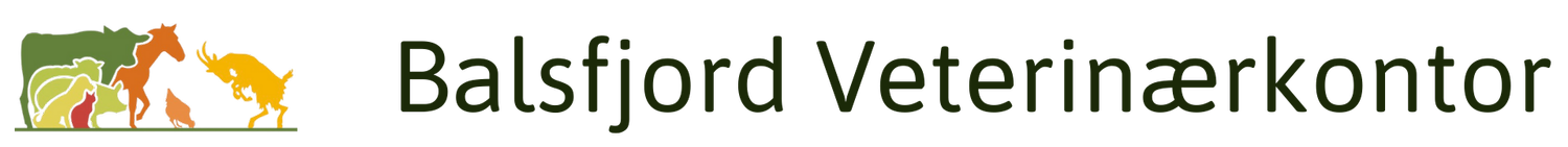 Balsfjord Veterinærkontor