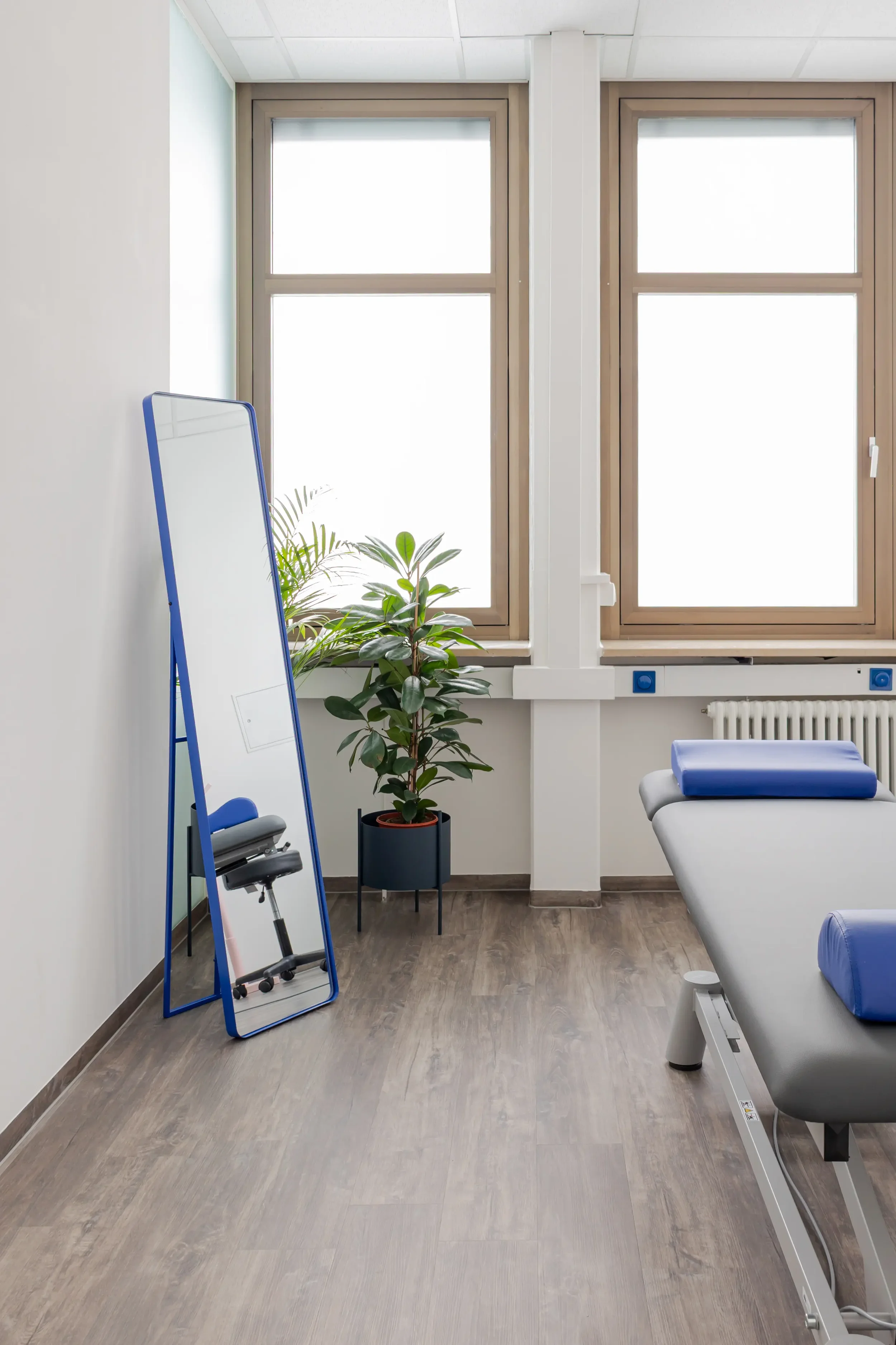 Behandlungsliege in einer Praxis mit blauen Kissen, neben einer großen Pflanze, einem Spiegel und Fenstern mit Holzrahmen.