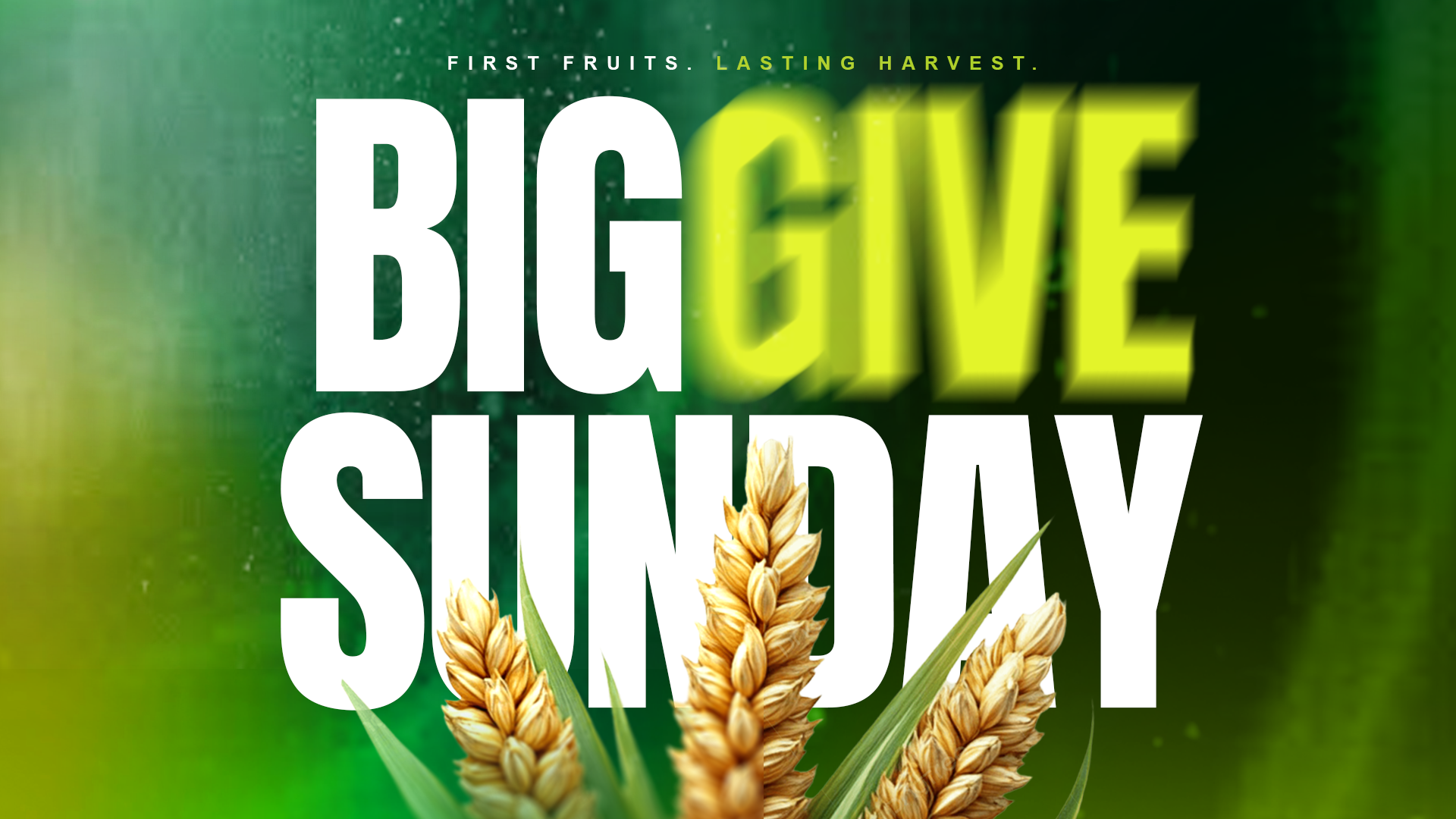 BIG GIVE SUNDAY