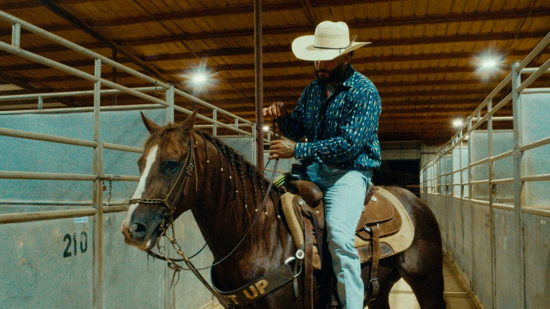 Timeline 1_01_04_36_21.jpg